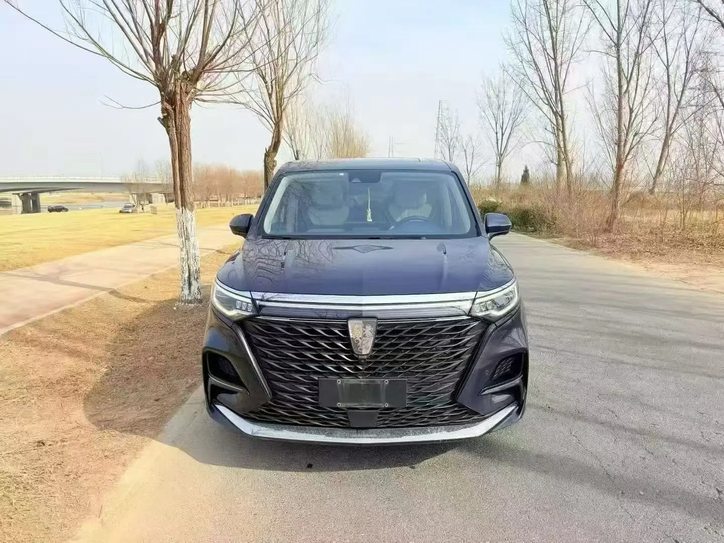 Roewe iMAX8  из Китая