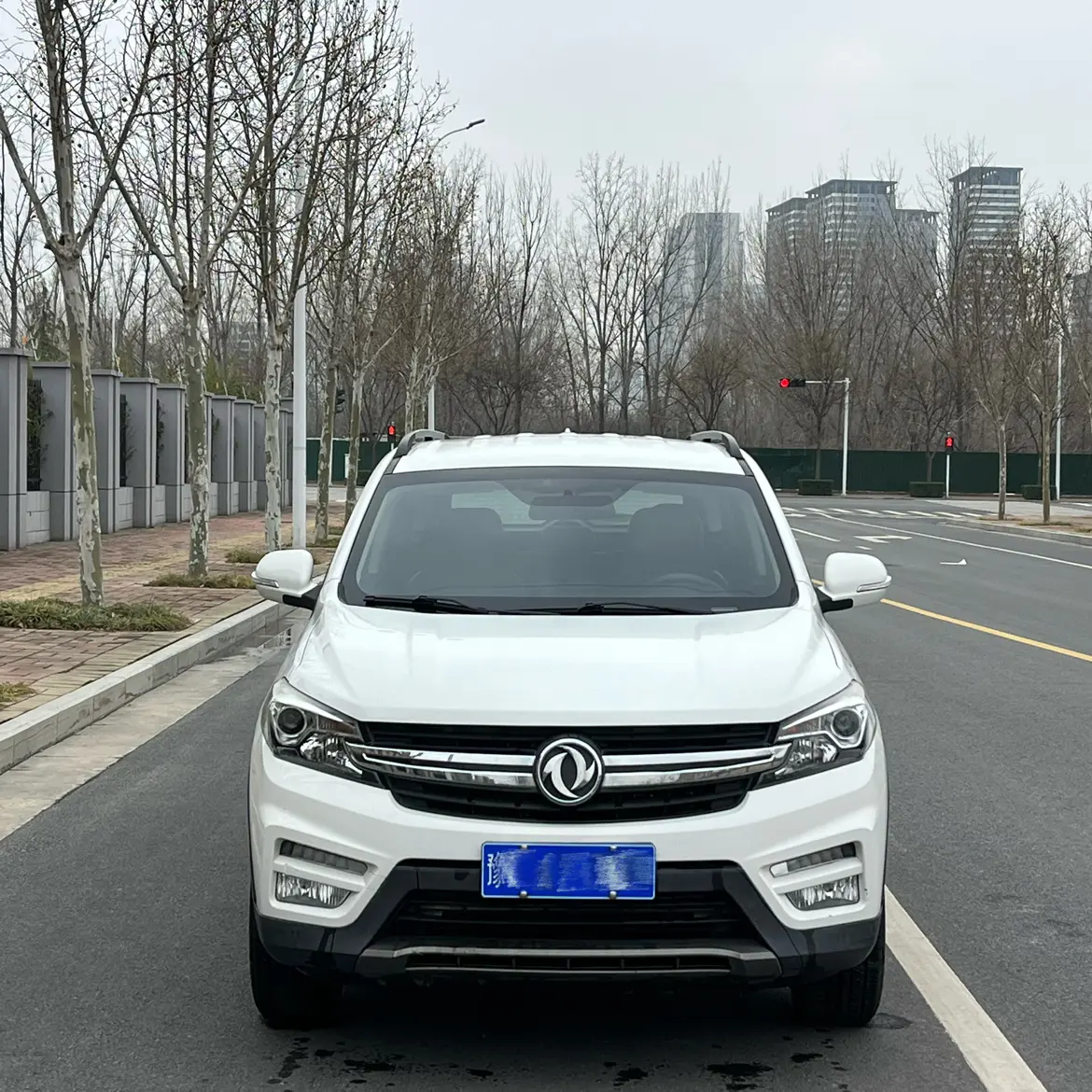 Dongfeng Scenery S560  из Китая