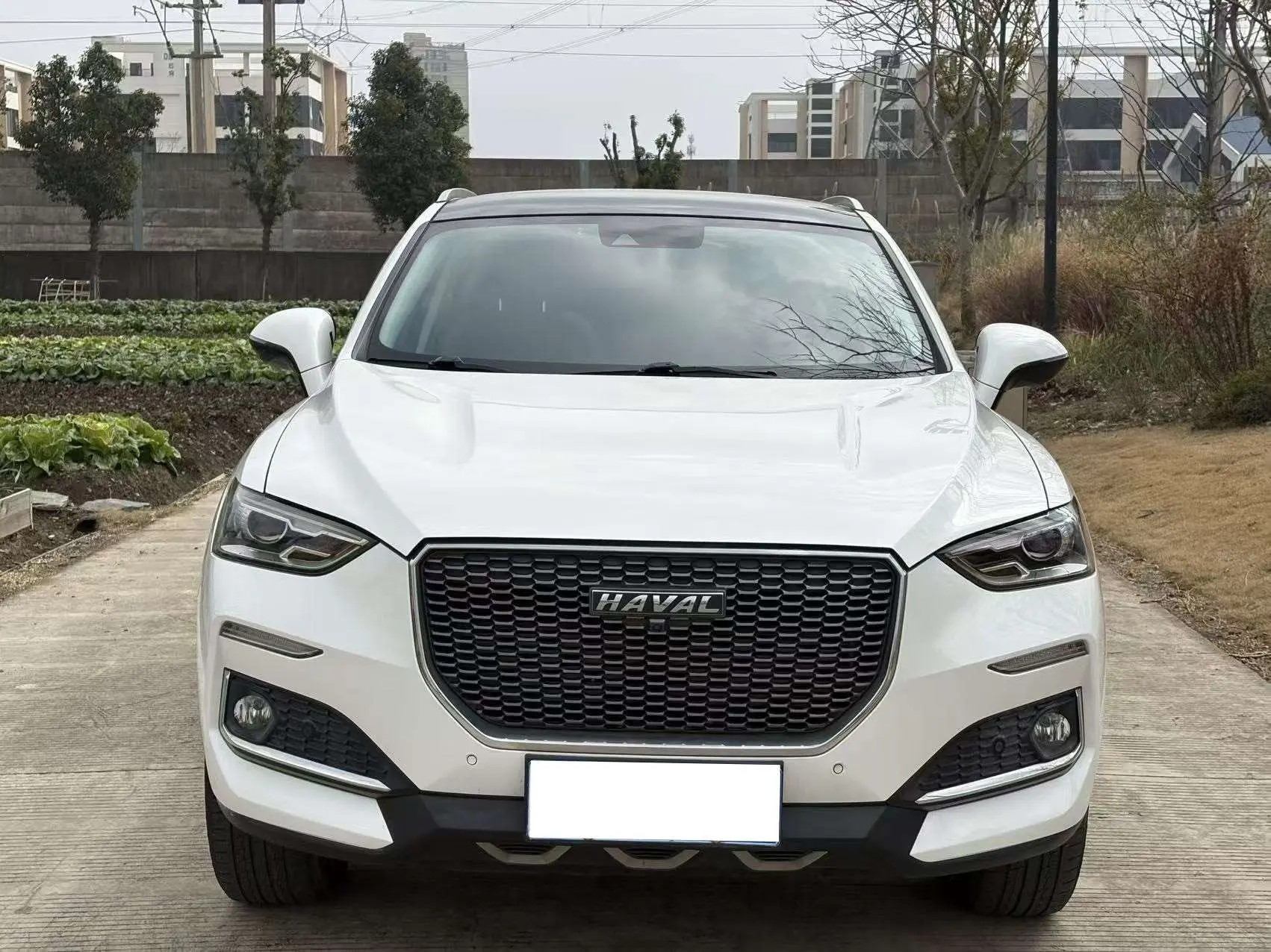 Haval F5  из Китая