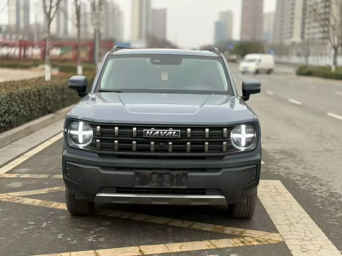 Haval cool dog  из Китая