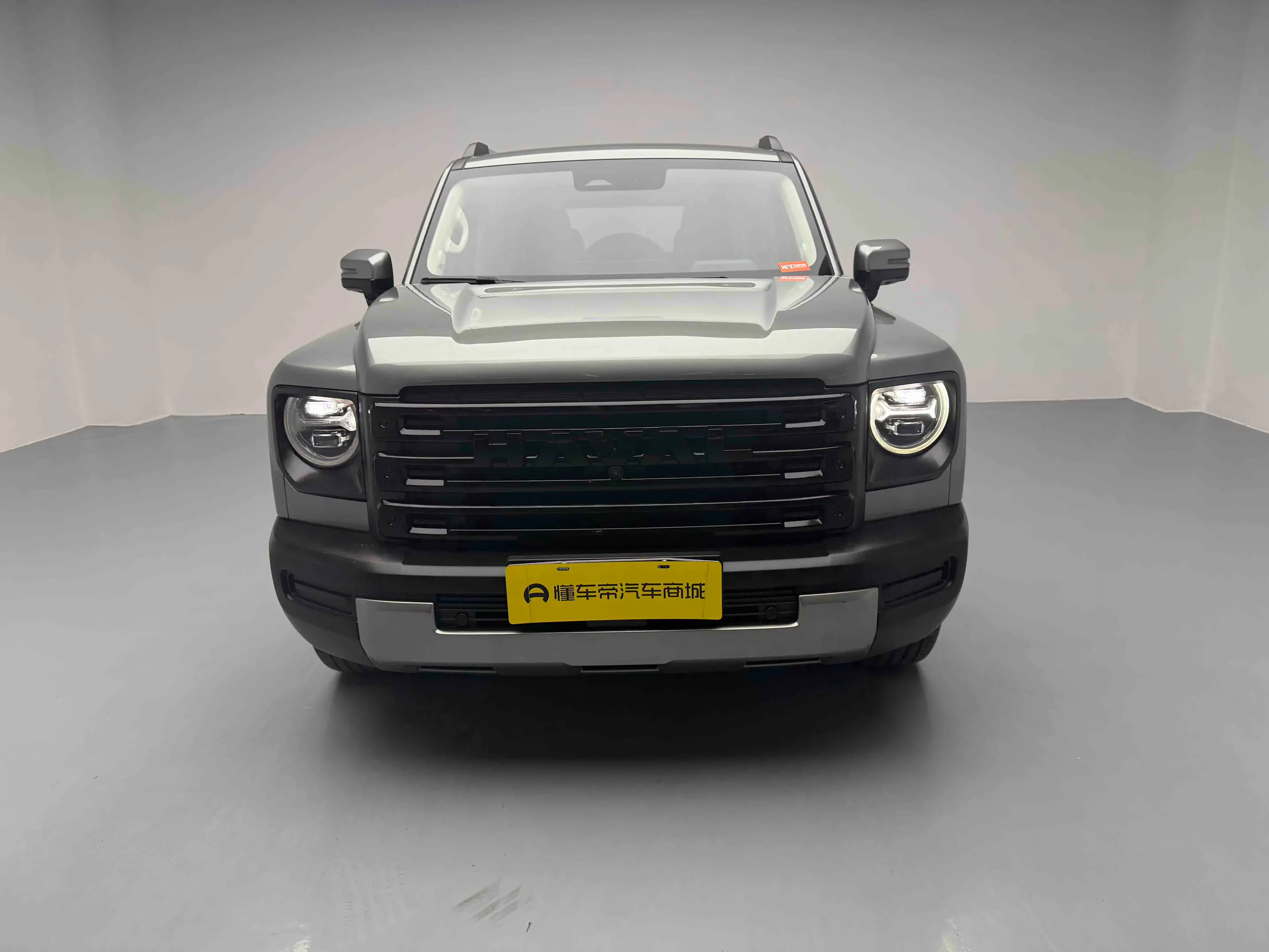 Haval Raptors PHEV  из Китая