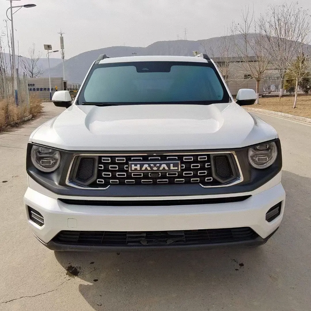 Haval Big Dog PLUS  из Китая