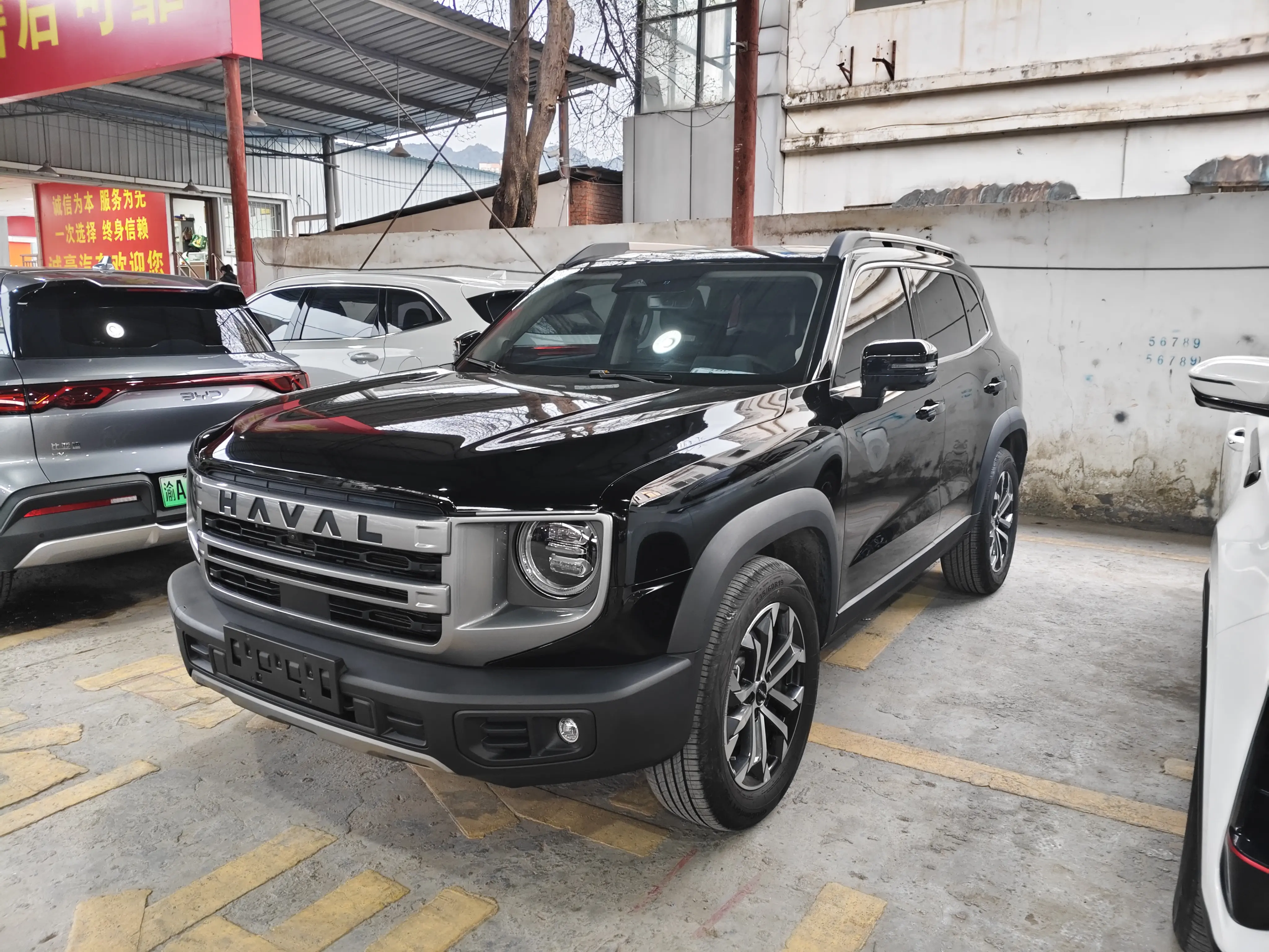 Haval Dargo
