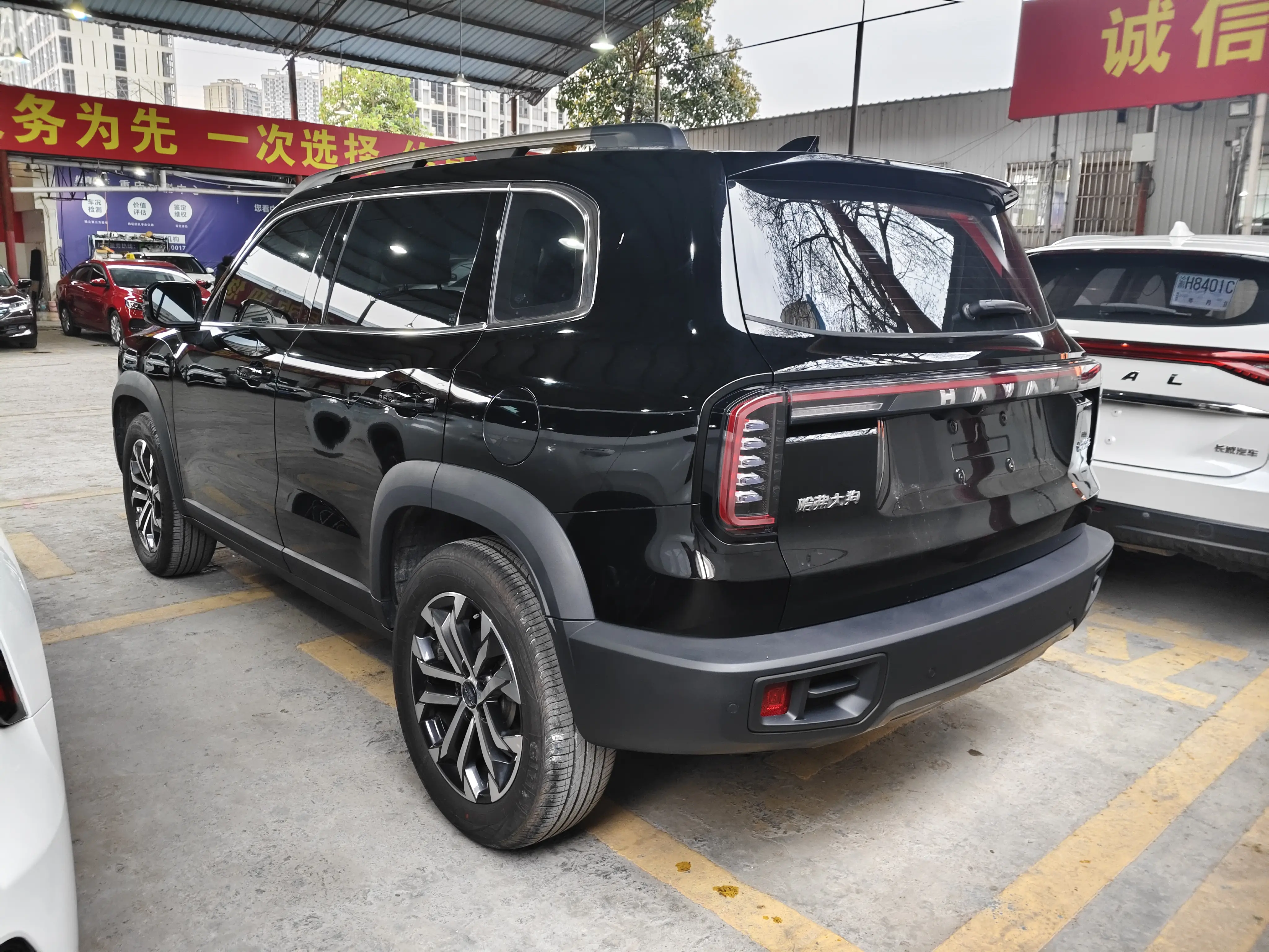 Haval Dargo