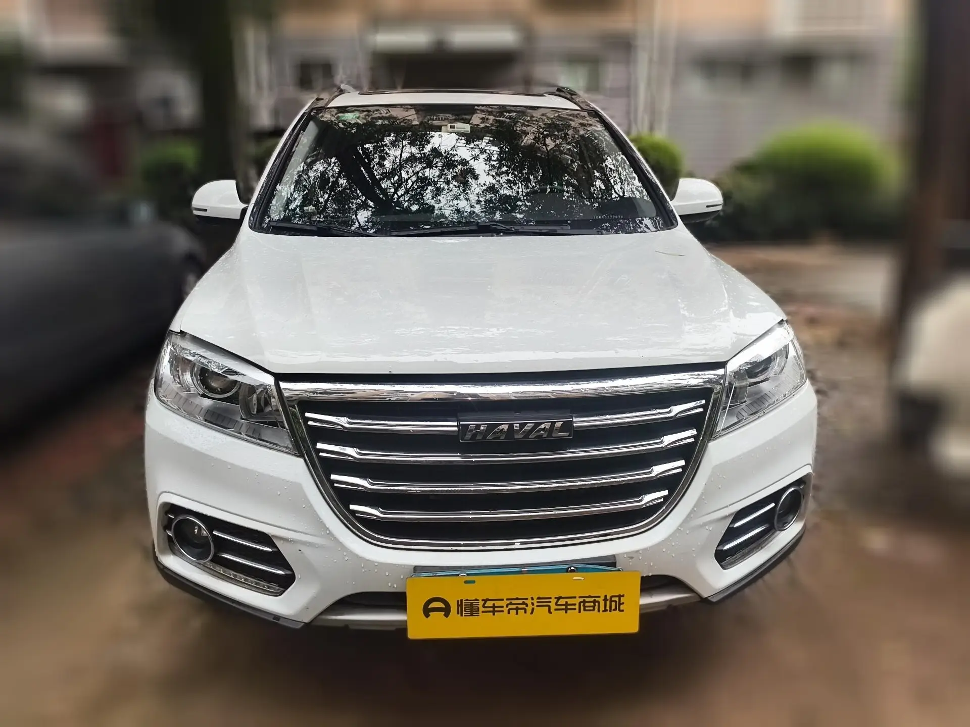 Haval H6  из Китая