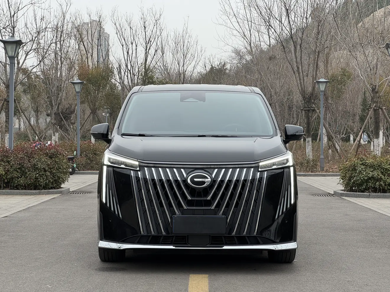 GAC Trumpchi M8  из Китая