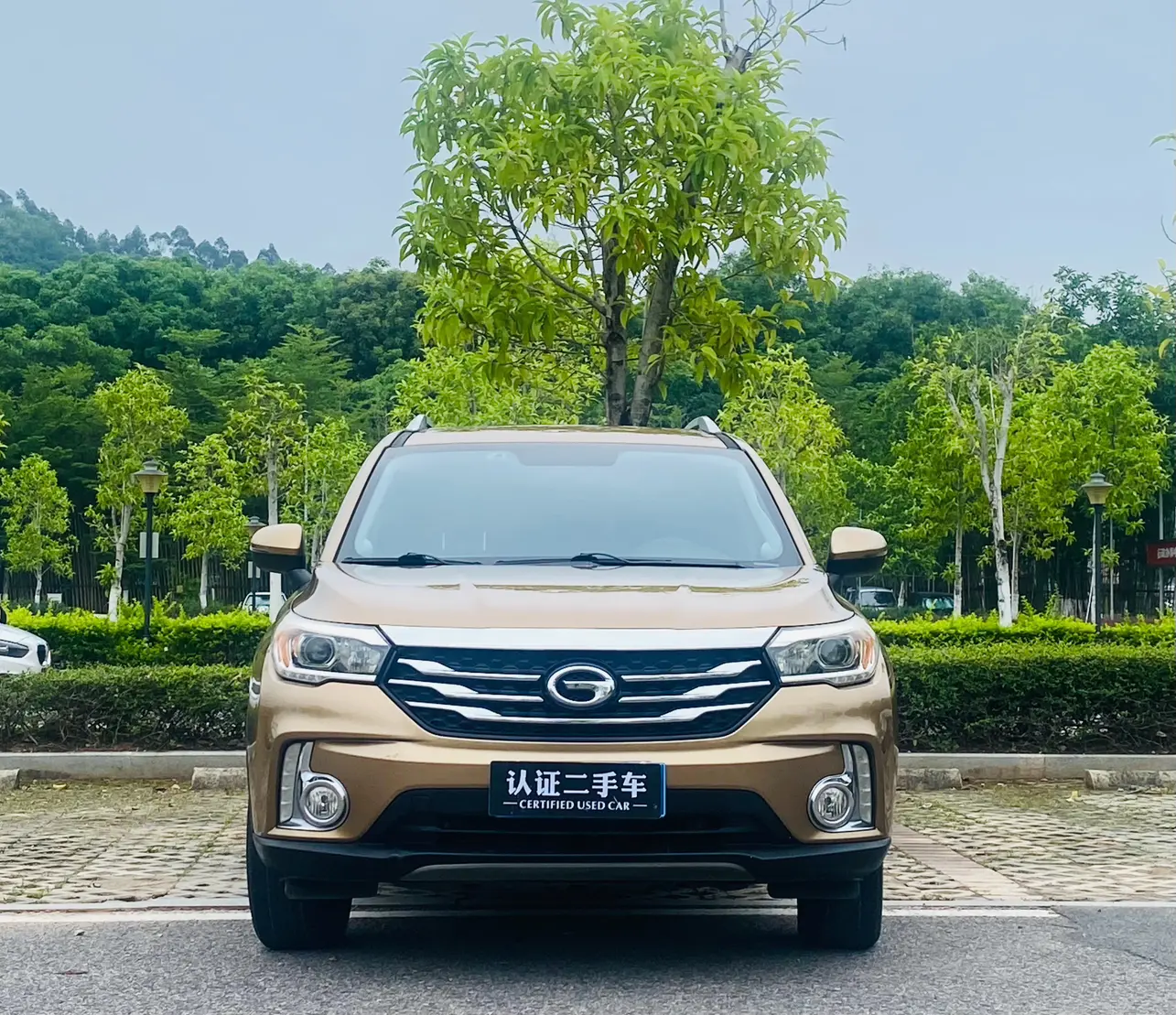 GAC Trumpchi GS4  из Китая
