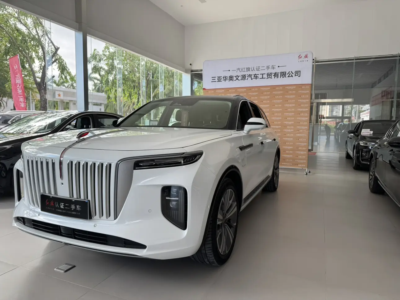 Hongqi E-HS9  из Китая