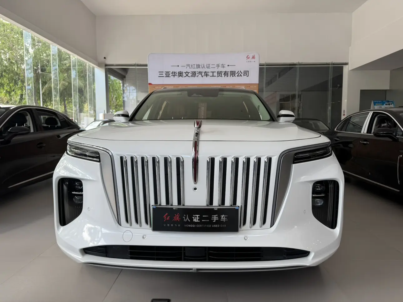 Hongqi E-HS9  из Китая
