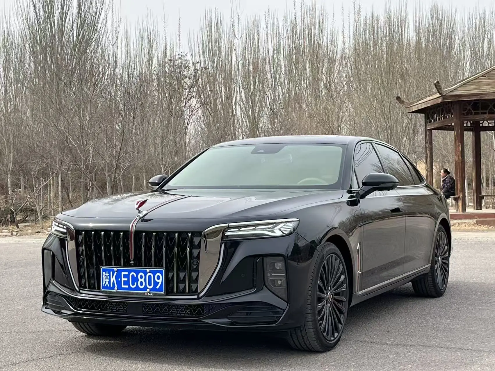Hongqi H9  из Китая