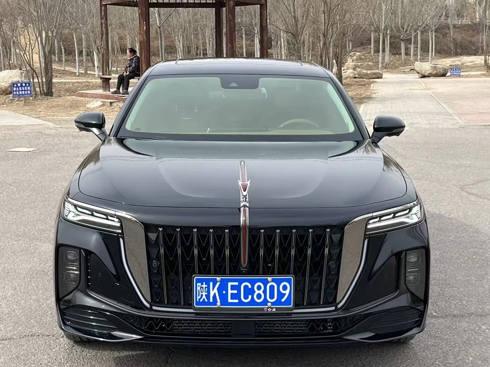 Hongqi H9  из Китая