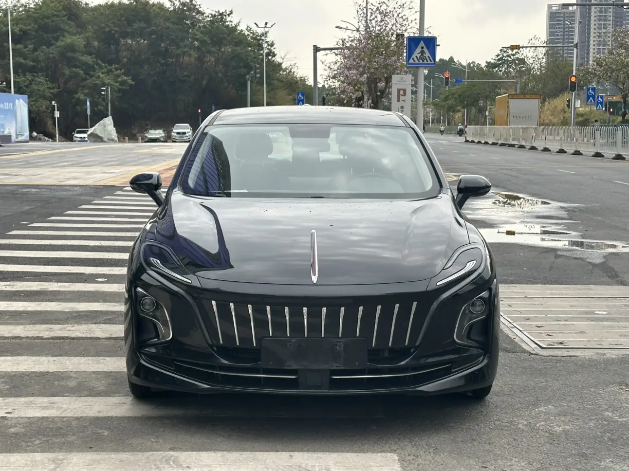 Hongqi E-QM5  из Китая