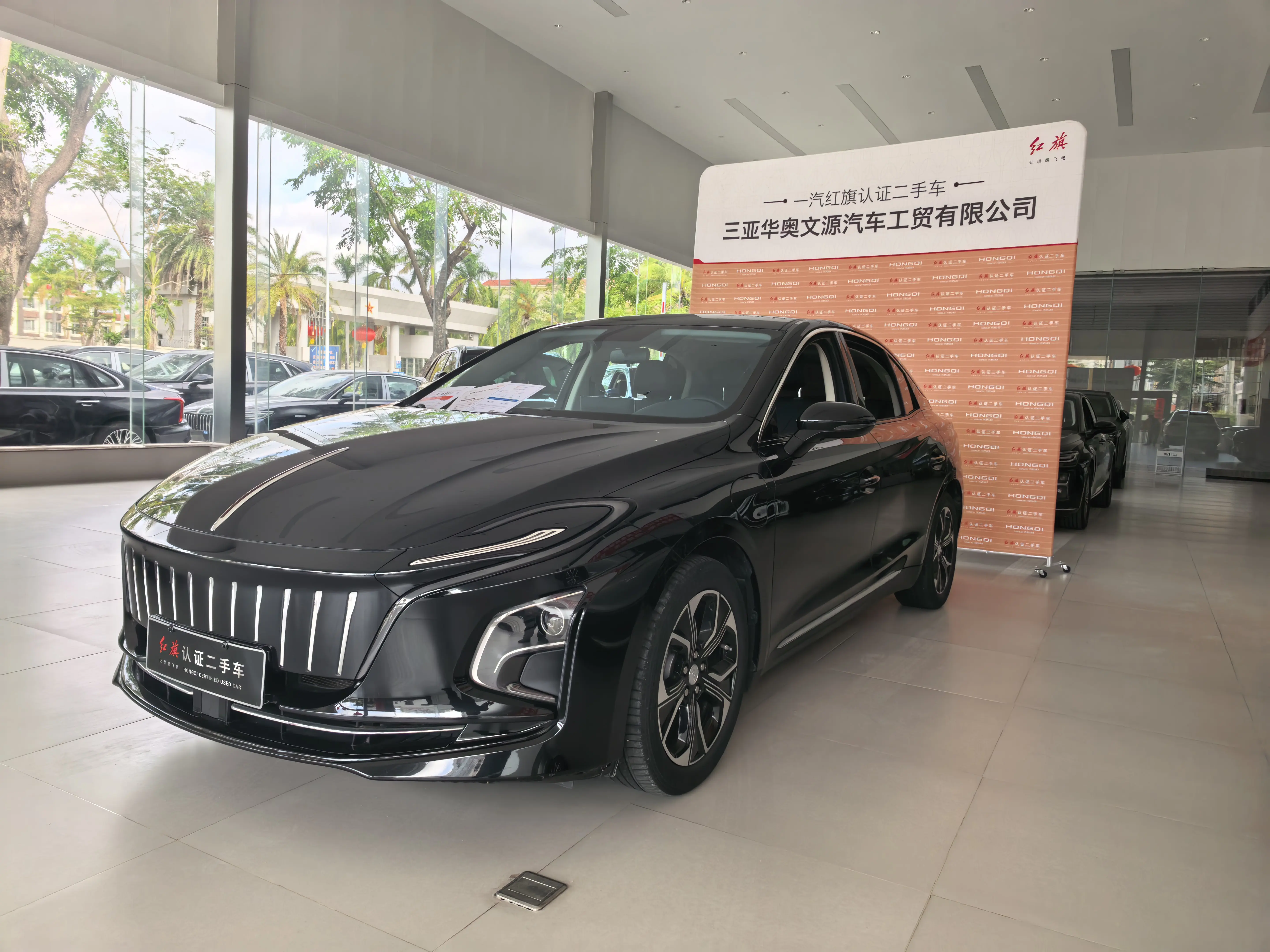 Hongqi E-QM5  из Китая