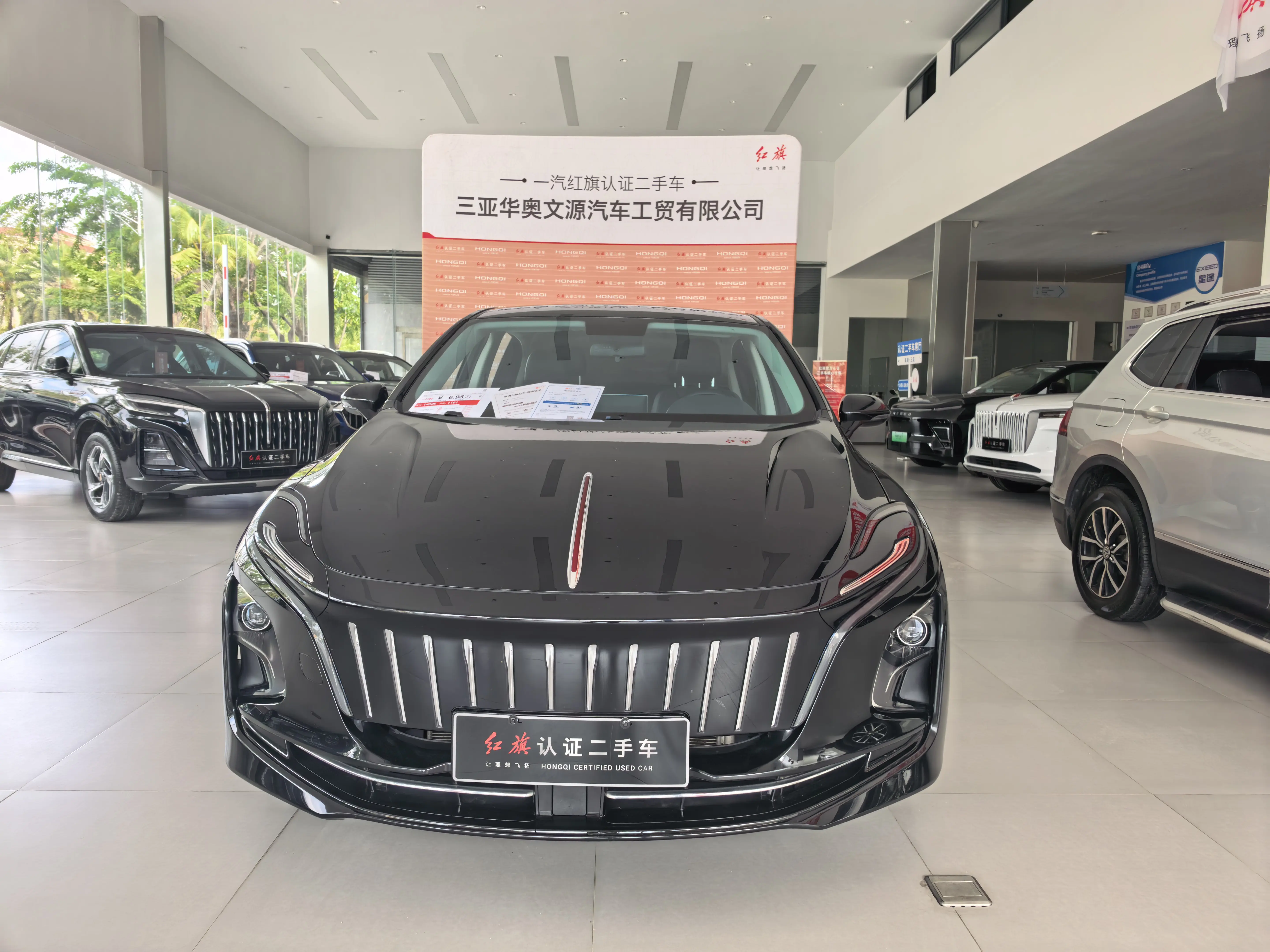 Hongqi E-QM5  из Китая