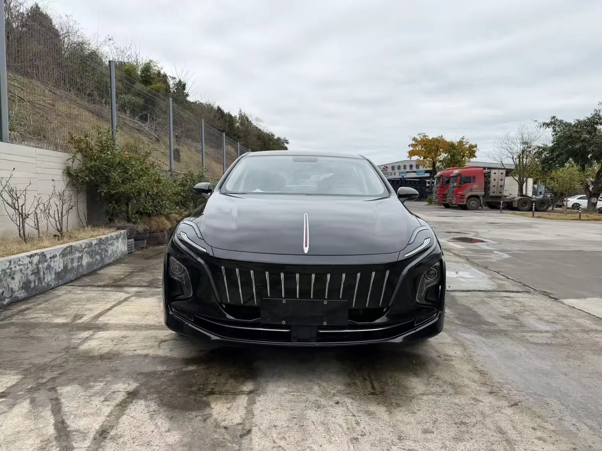 Hongqi E-QM5  из Китая