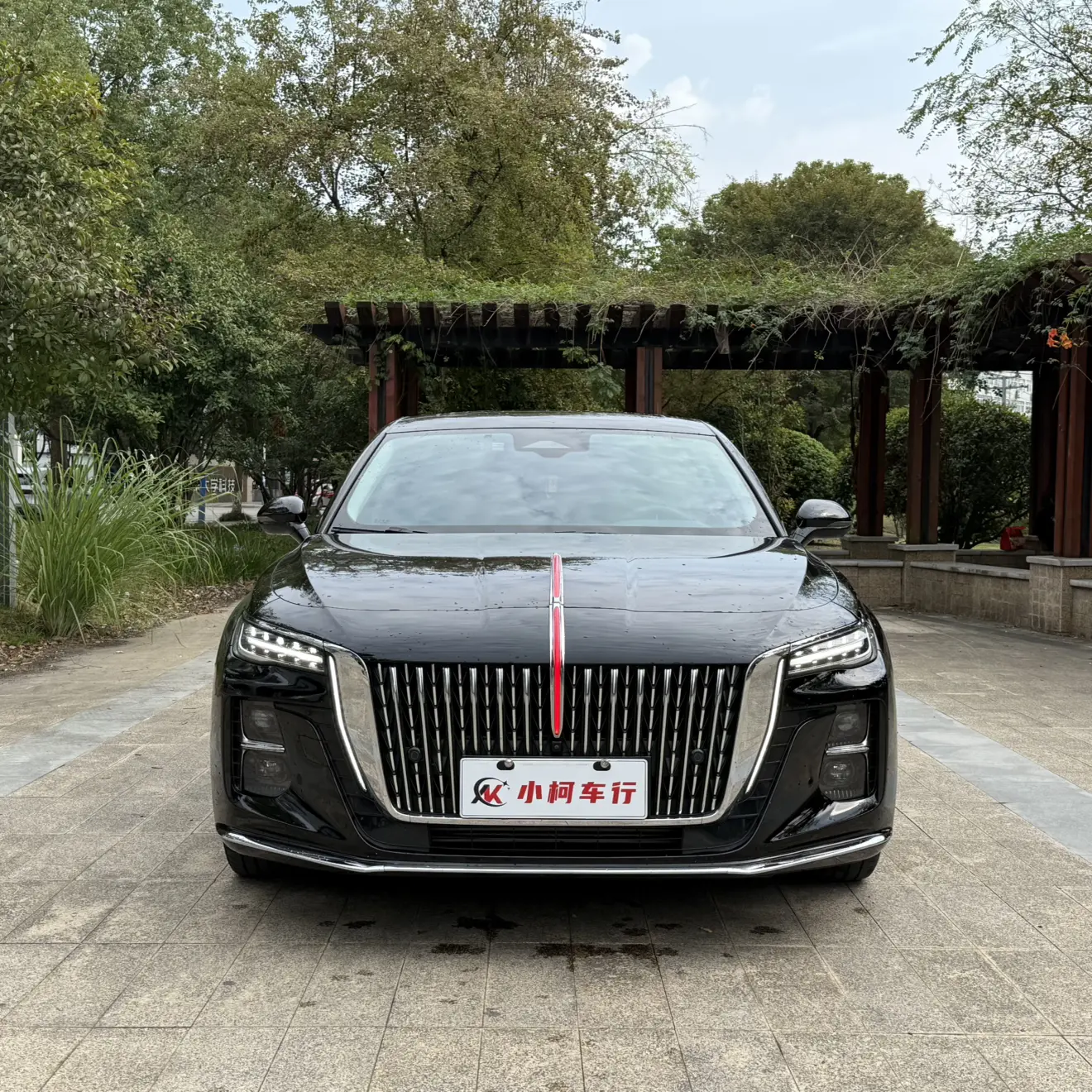 Hongqi H5  из Китая