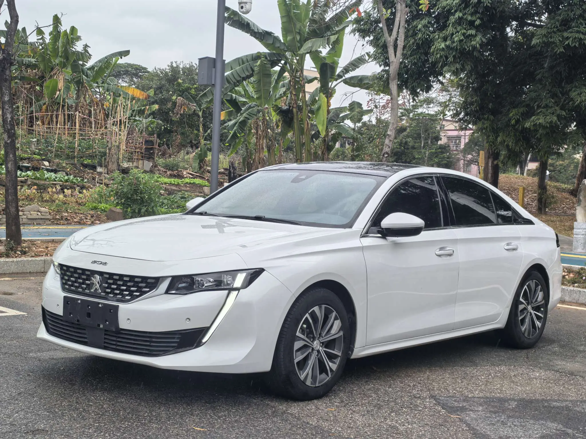 Peugeot 408 и 508L получили рублевые ценники