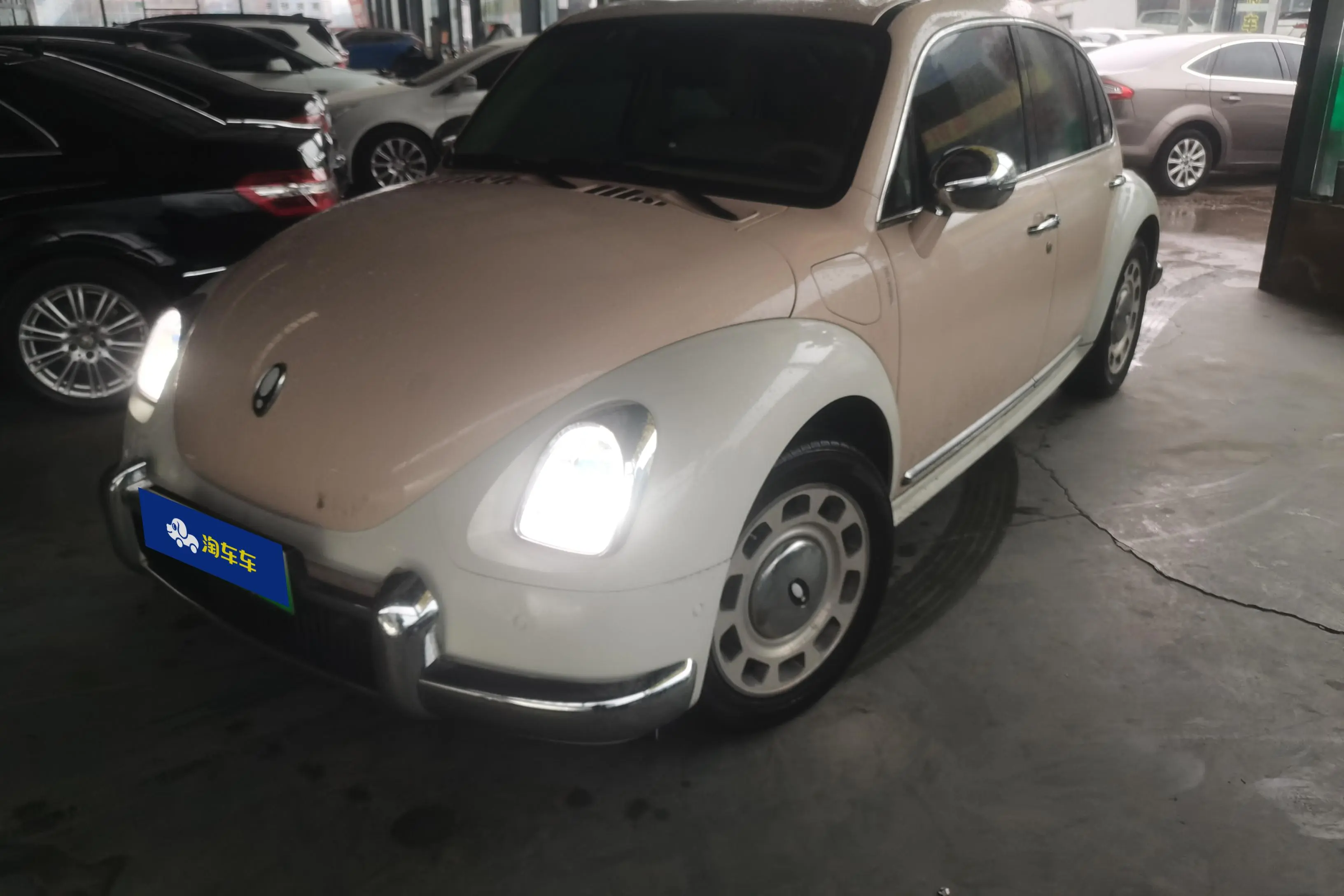 ORA Euler ballet cat  из Китая