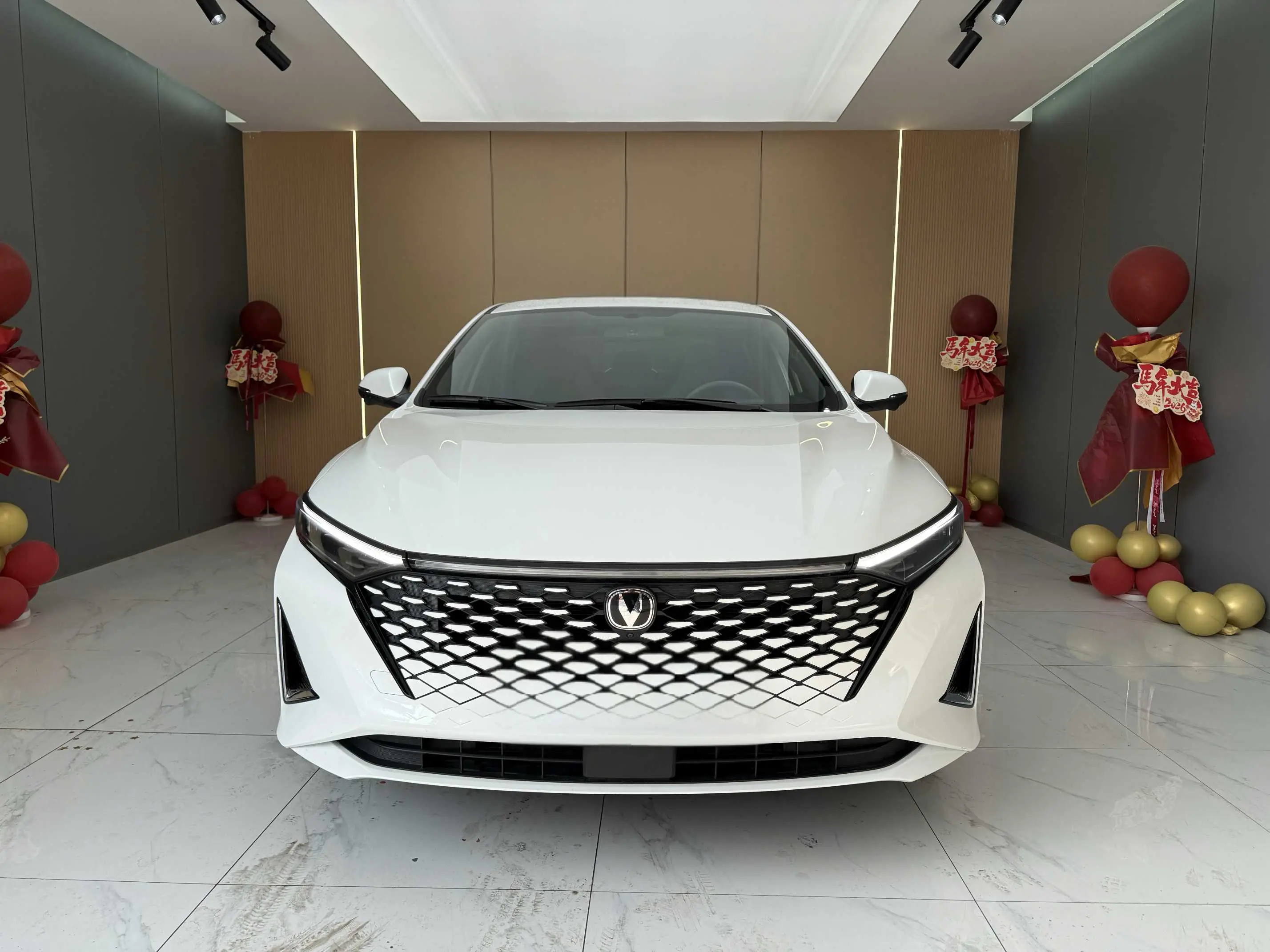 Changan Ruicheng PLUS  из Китая