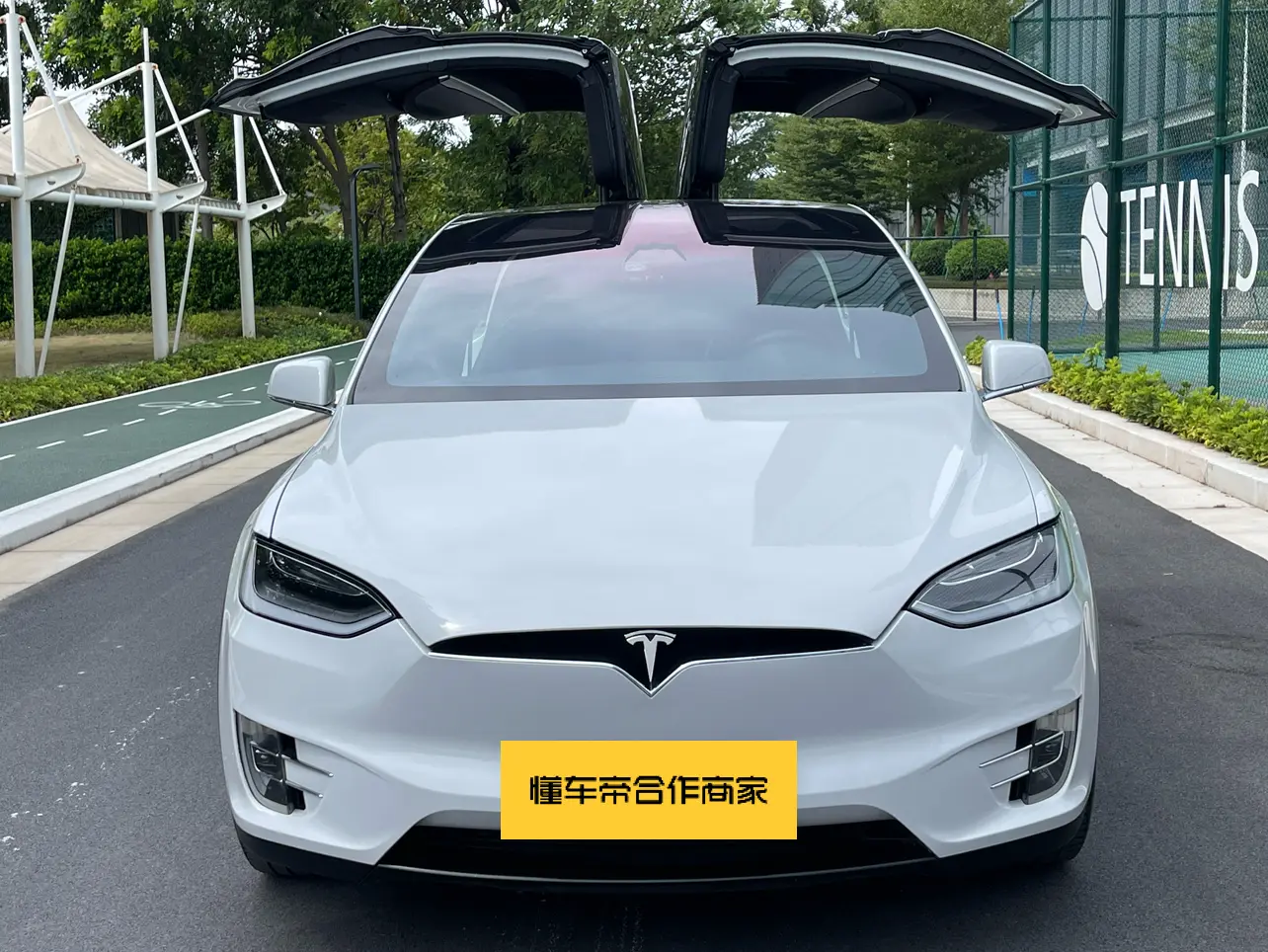 Tesla Model X  из Китая