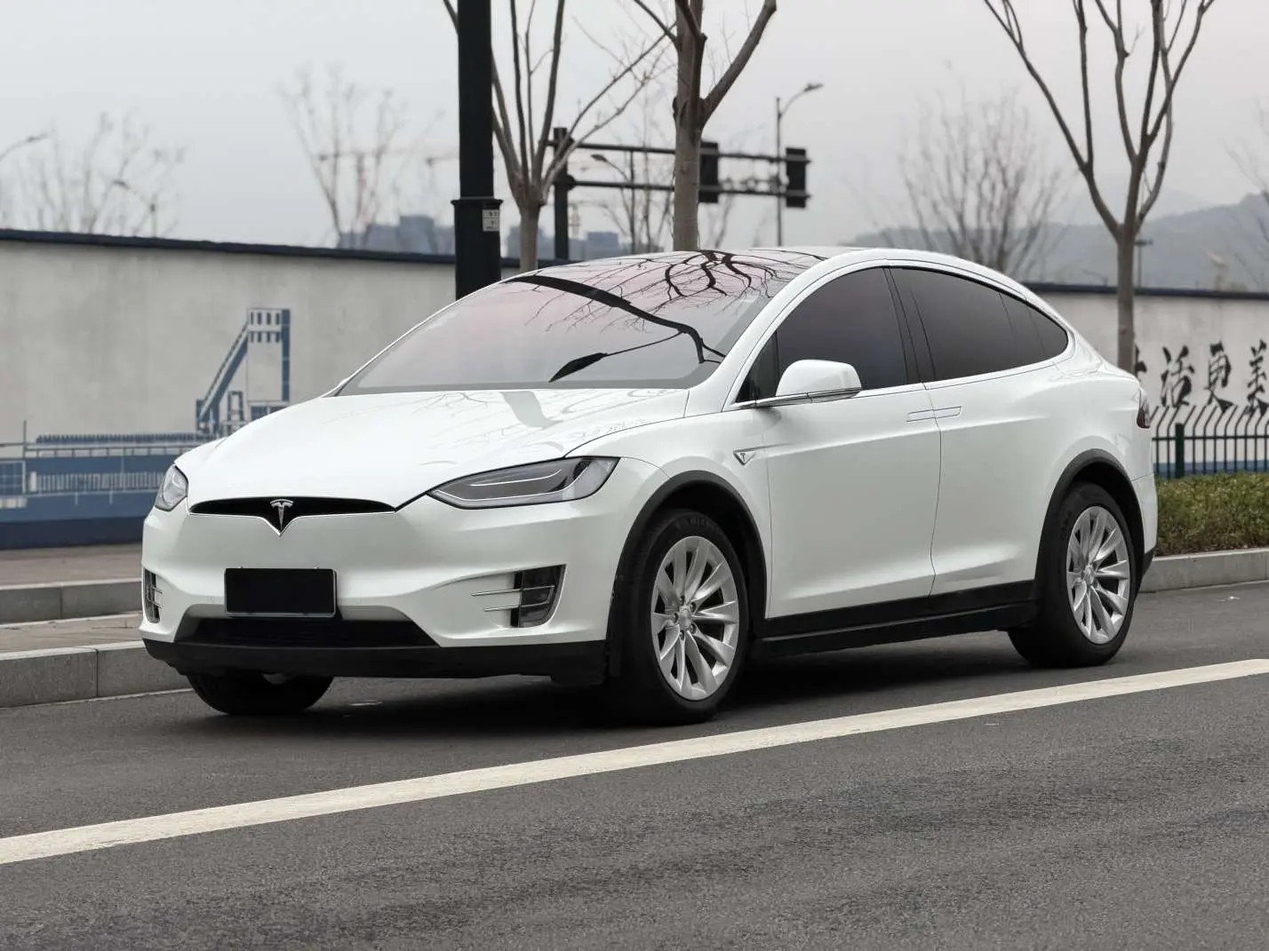 Tesla Model X  из Китая