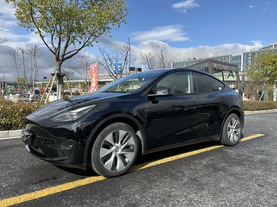 Tesla Model Y  из Китая