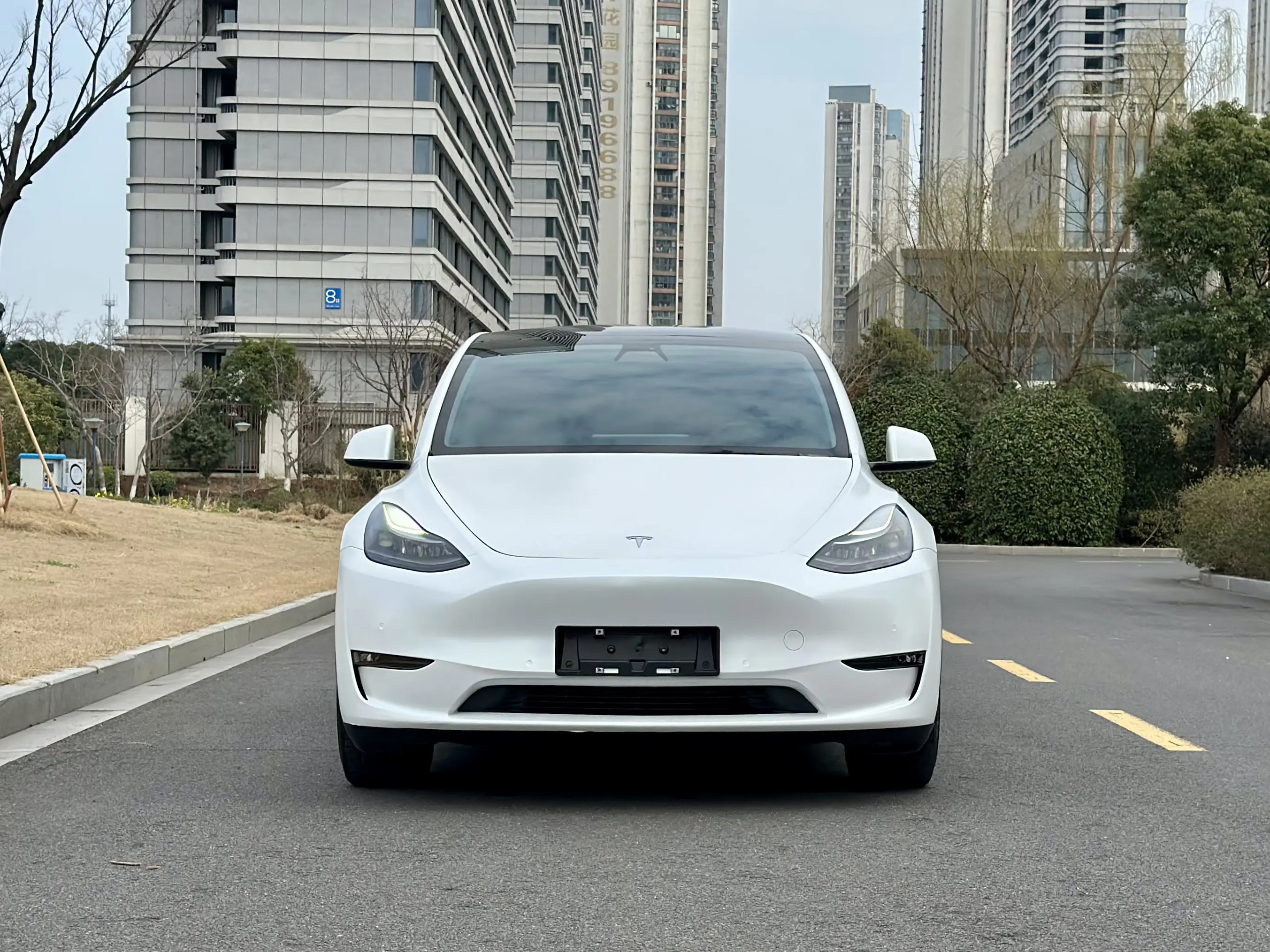 Tesla Model Y  из Китая