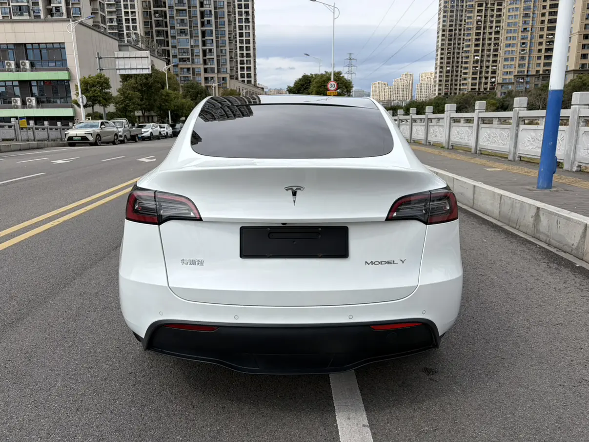 Tesla Model Y  из Китая