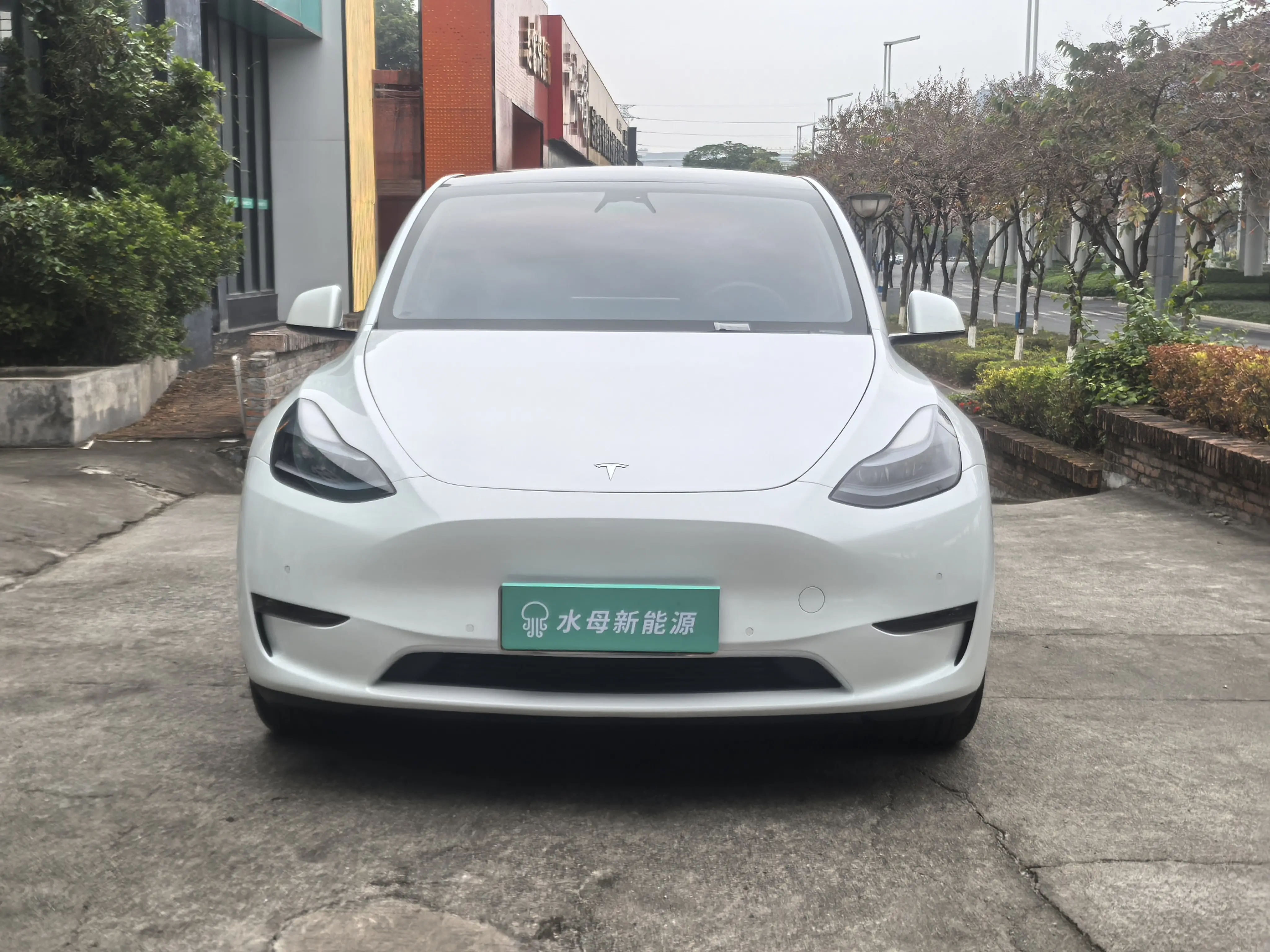 Tesla Model Y  из Китая