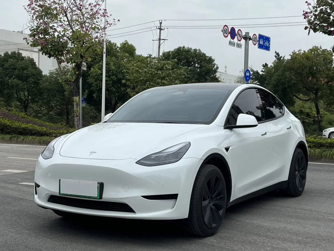 Tesla Model Y  из Китая