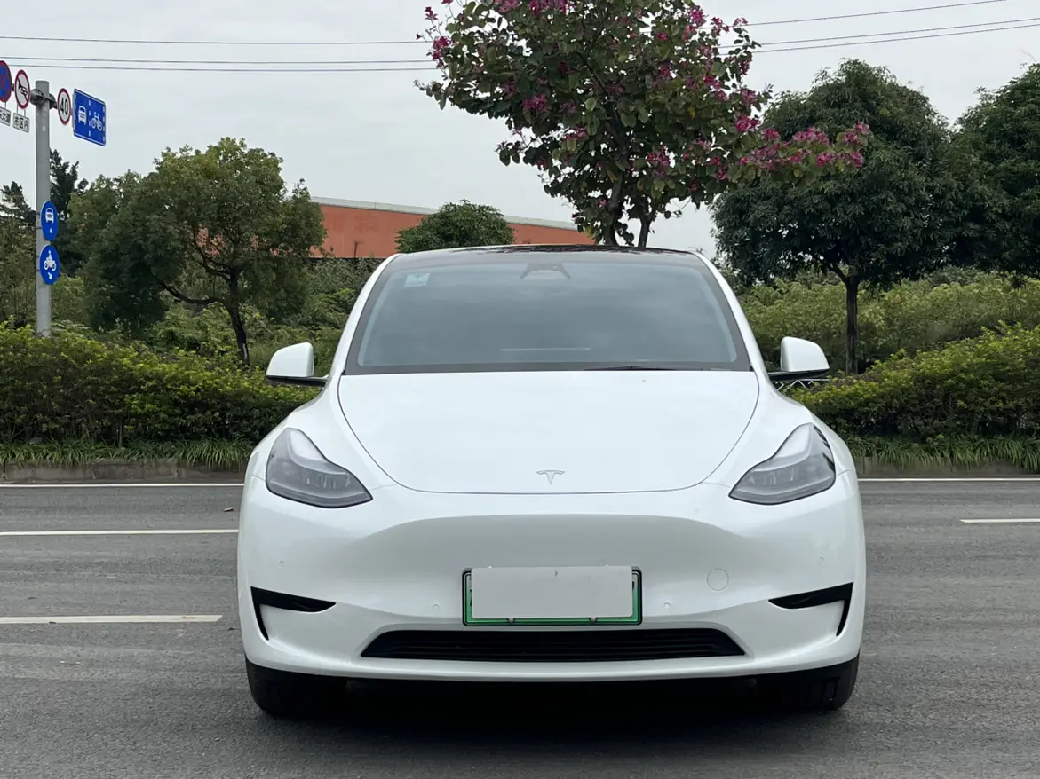 Tesla Model Y  из Китая