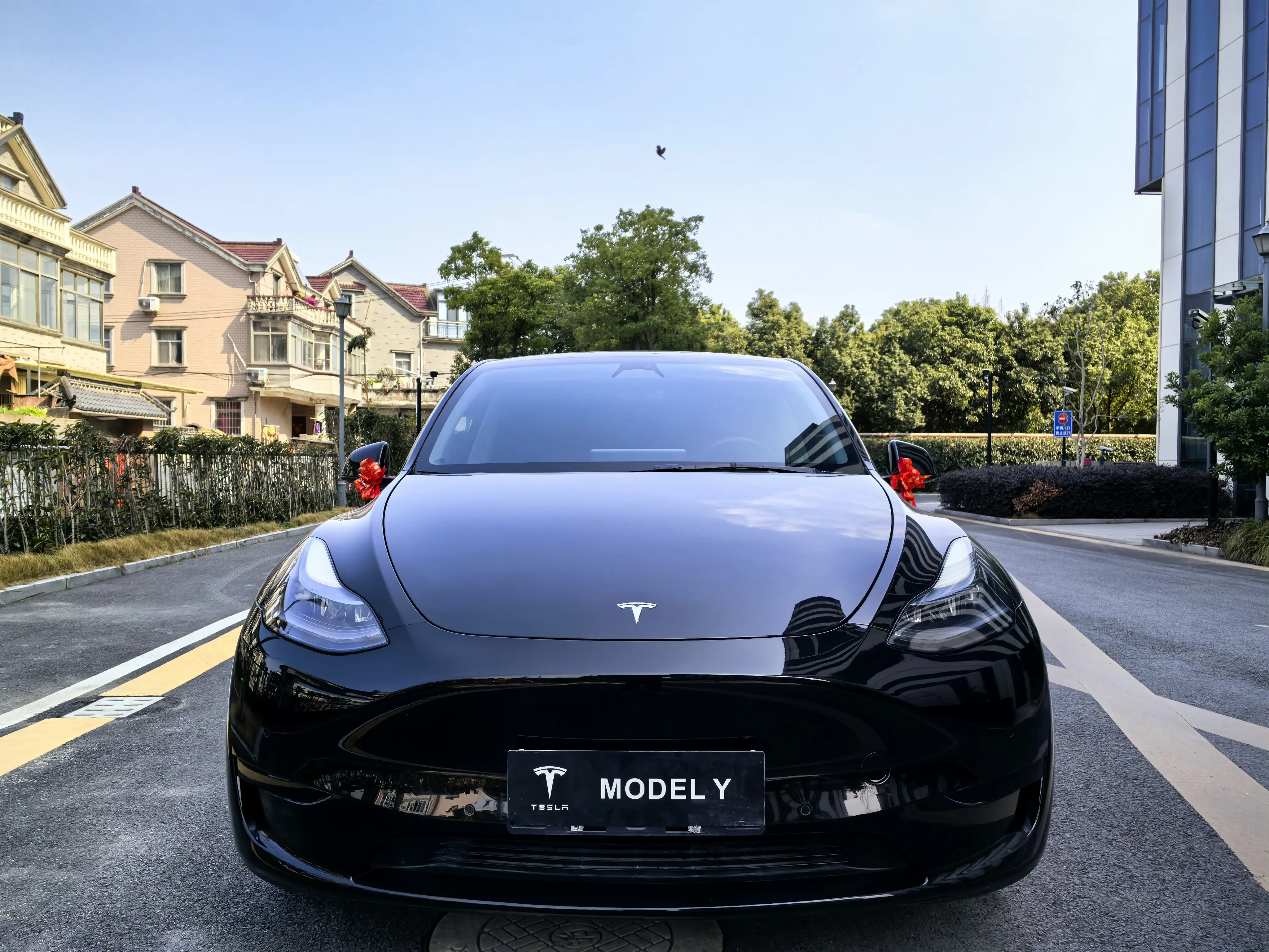 Tesla Model Y  из Китая