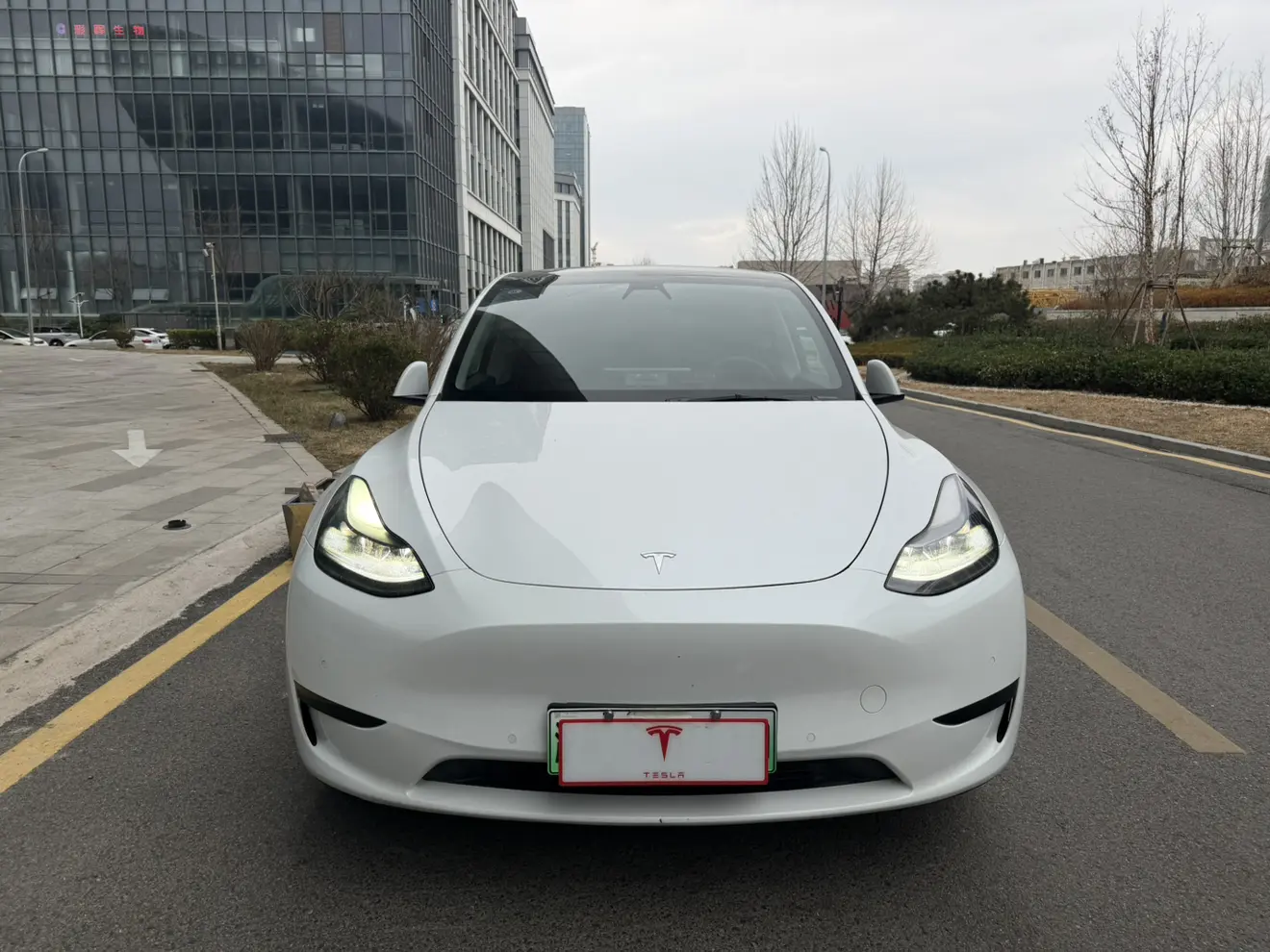 Tesla Model Y  из Китая