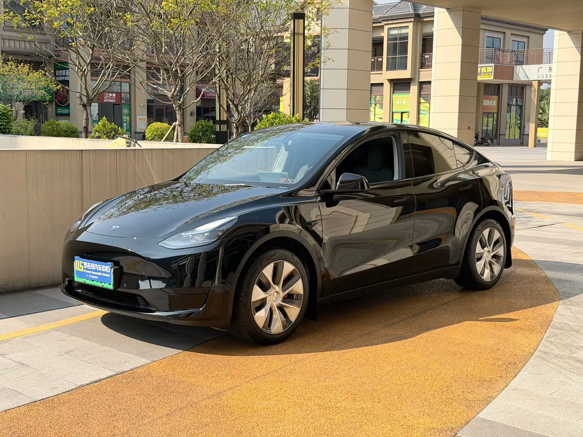 Tesla Model Y  из Китая