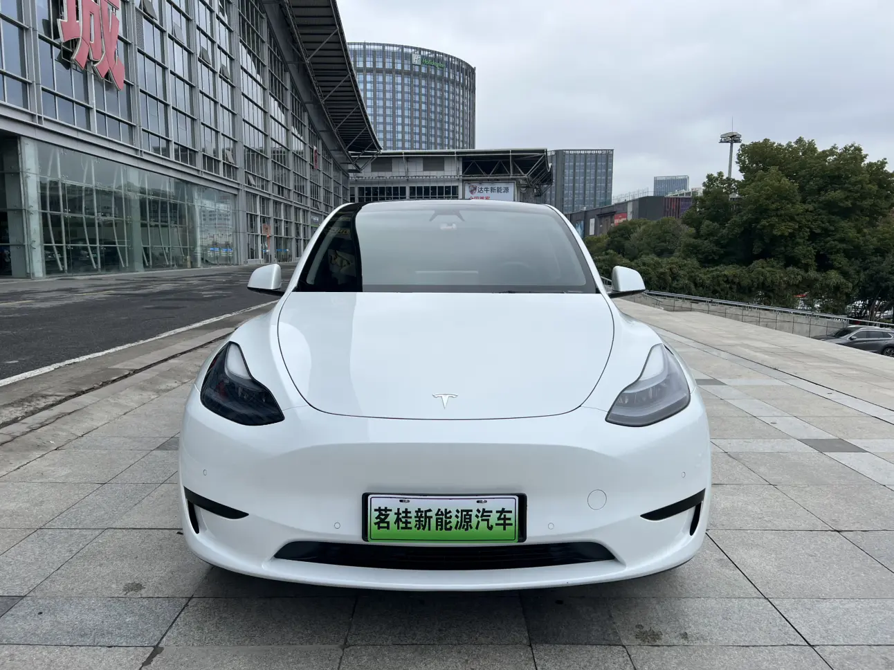 Tesla Model Y  из Китая