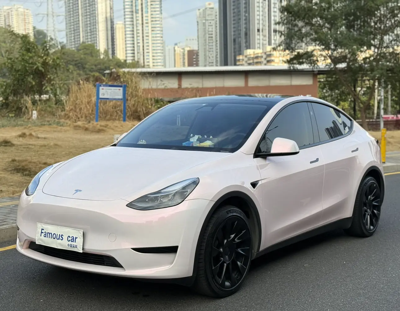 Tesla Model Y  из Китая
