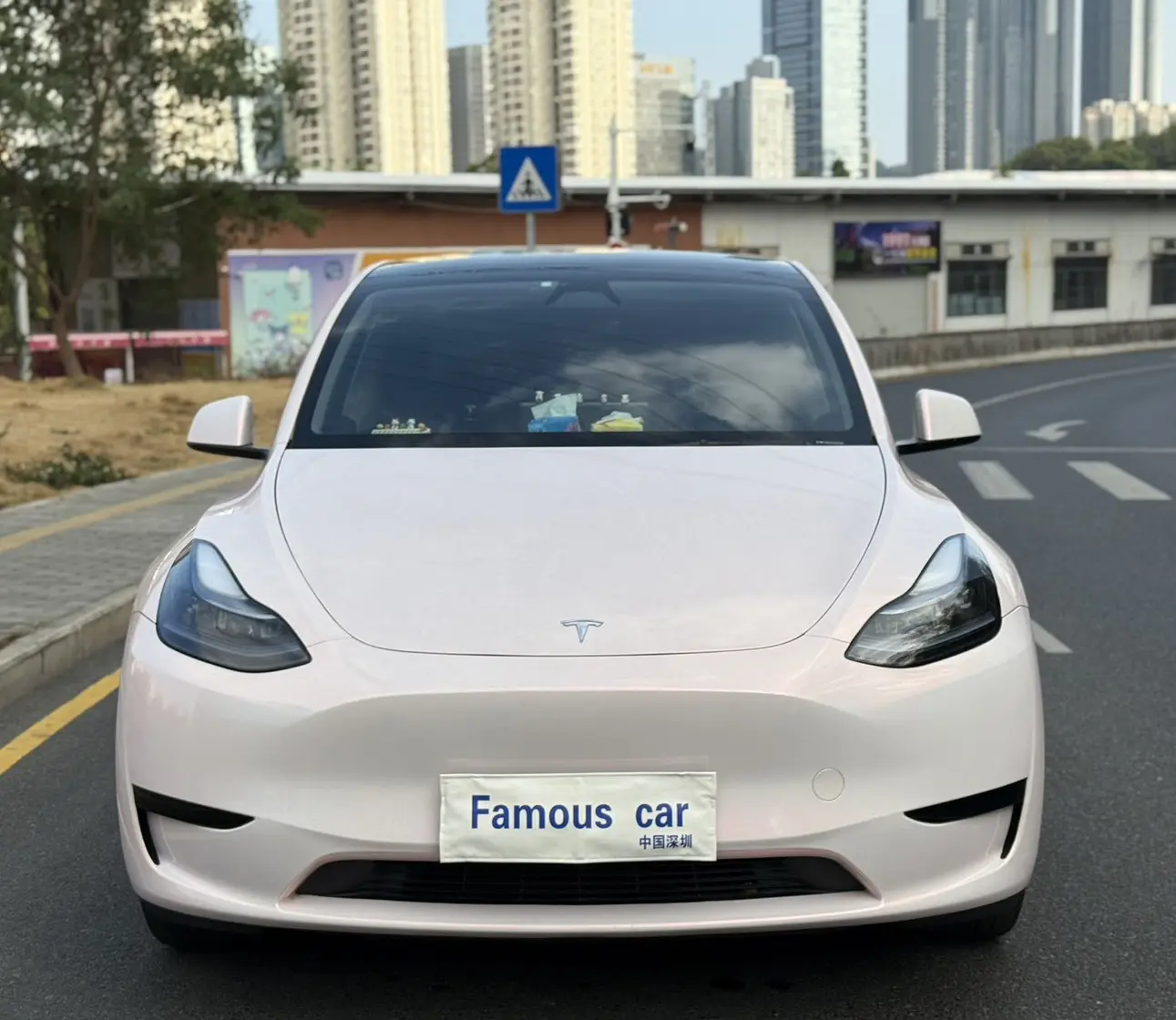 Tesla Model Y  из Китая