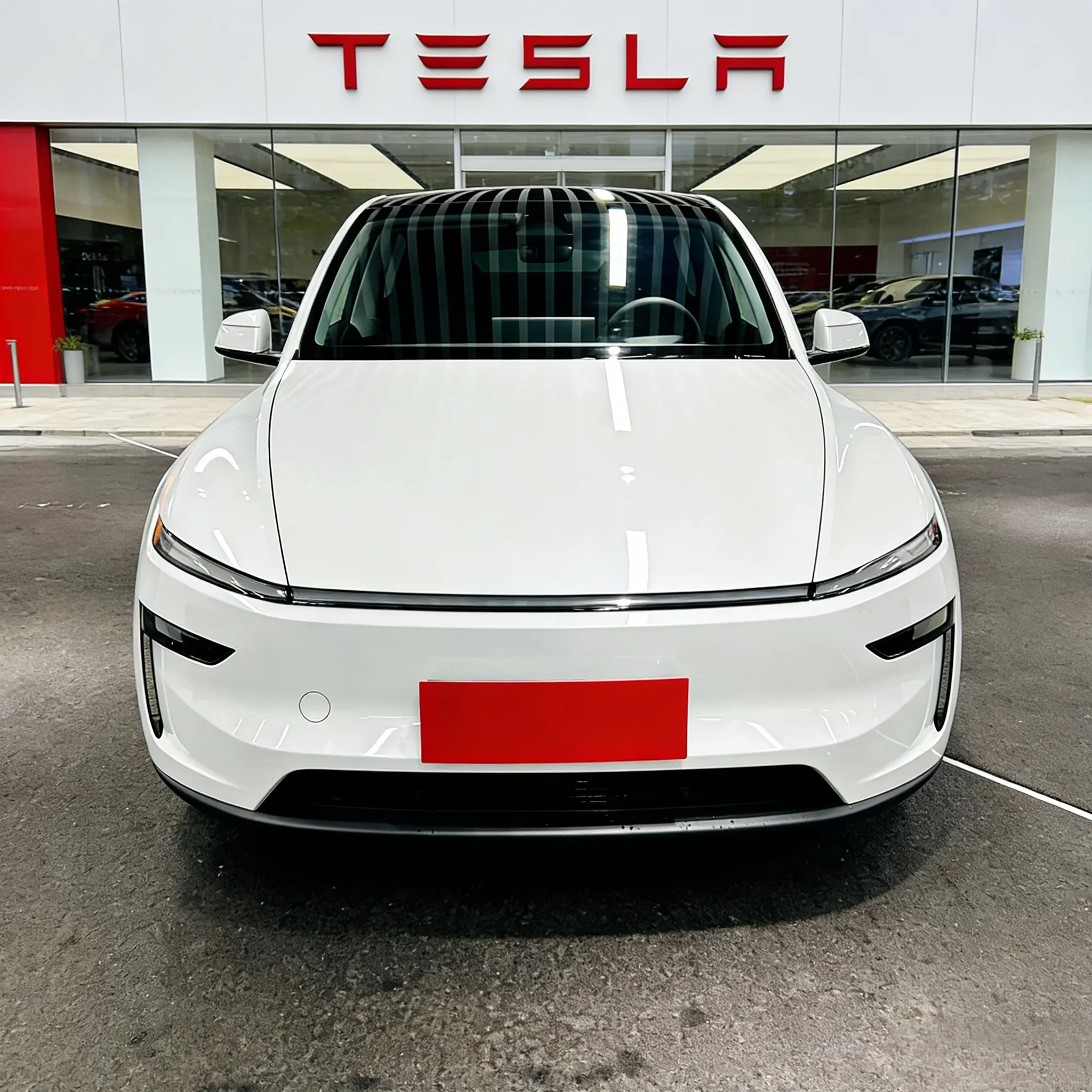 Tesla Model Y  из Китая