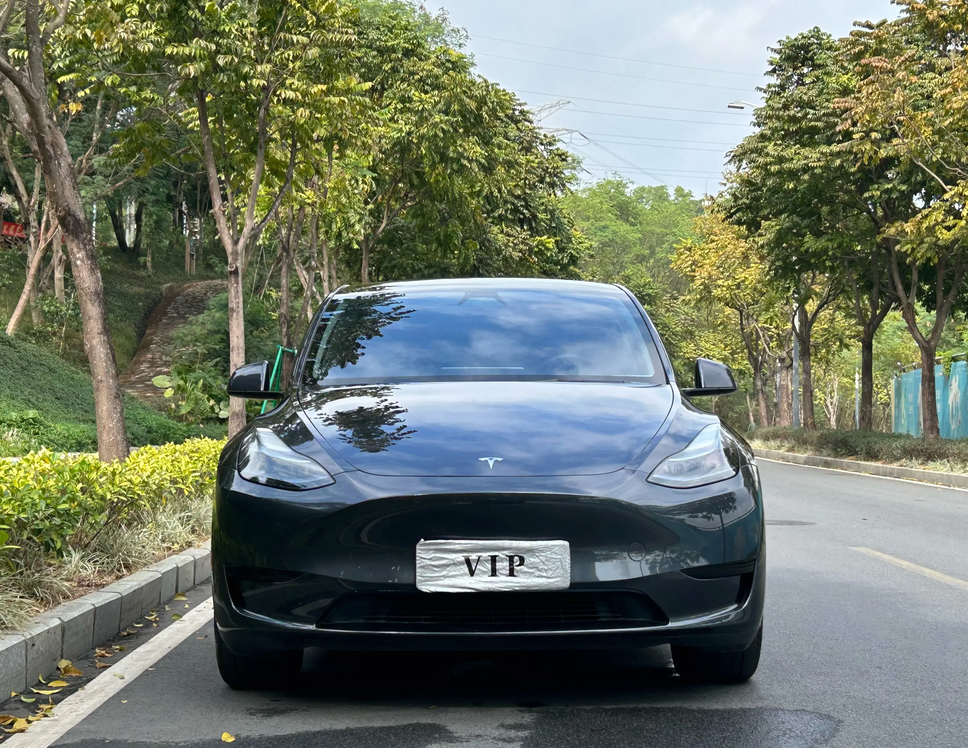 Tesla Model Y  из Китая