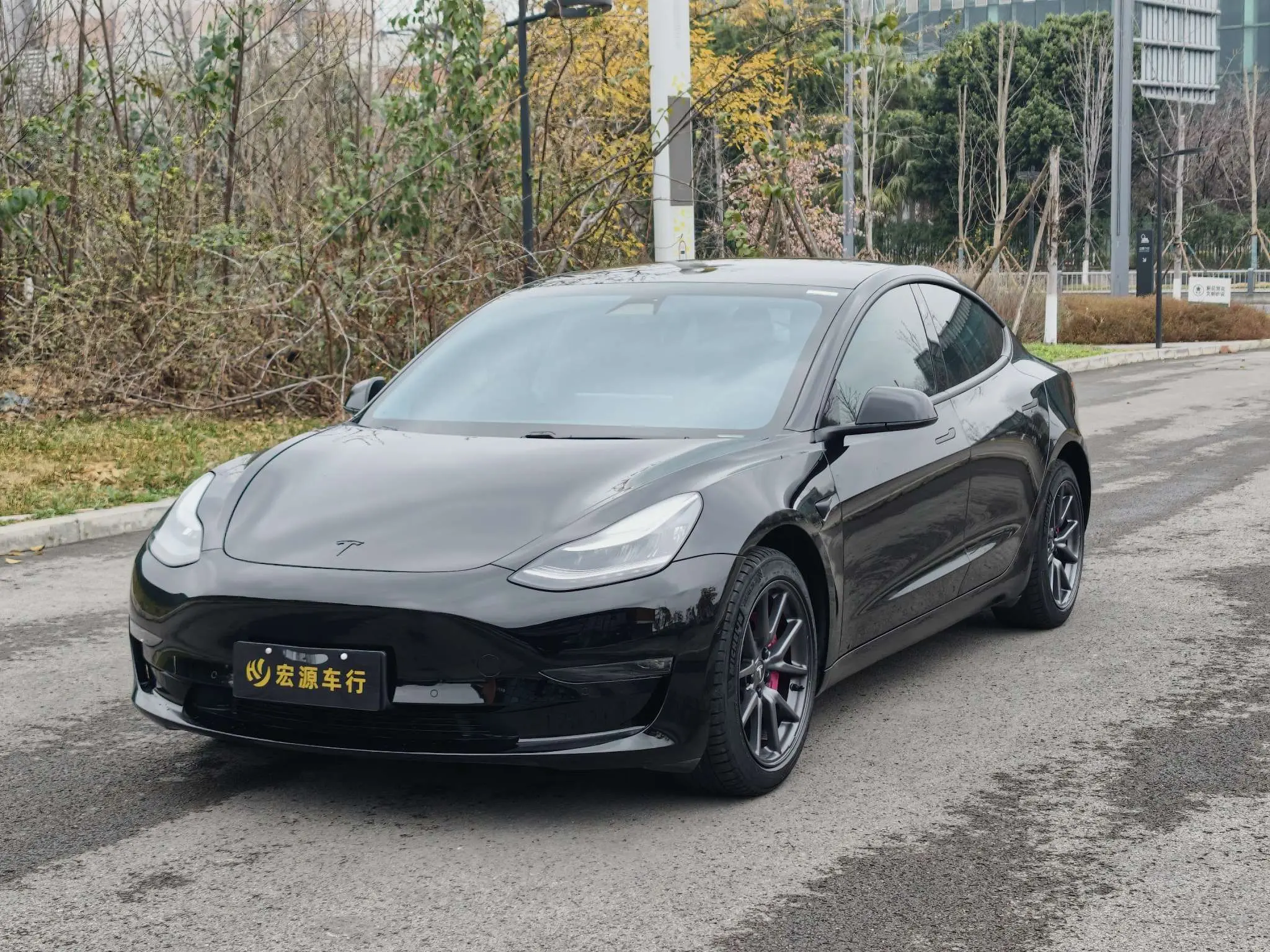 Tesla Model 3  из Китая