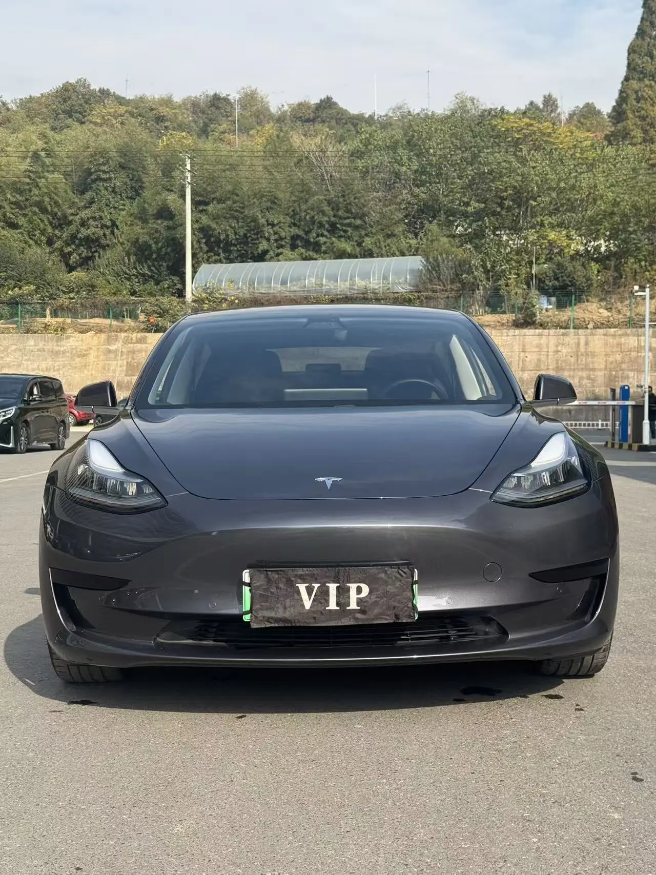 Tesla Model 3  из Китая