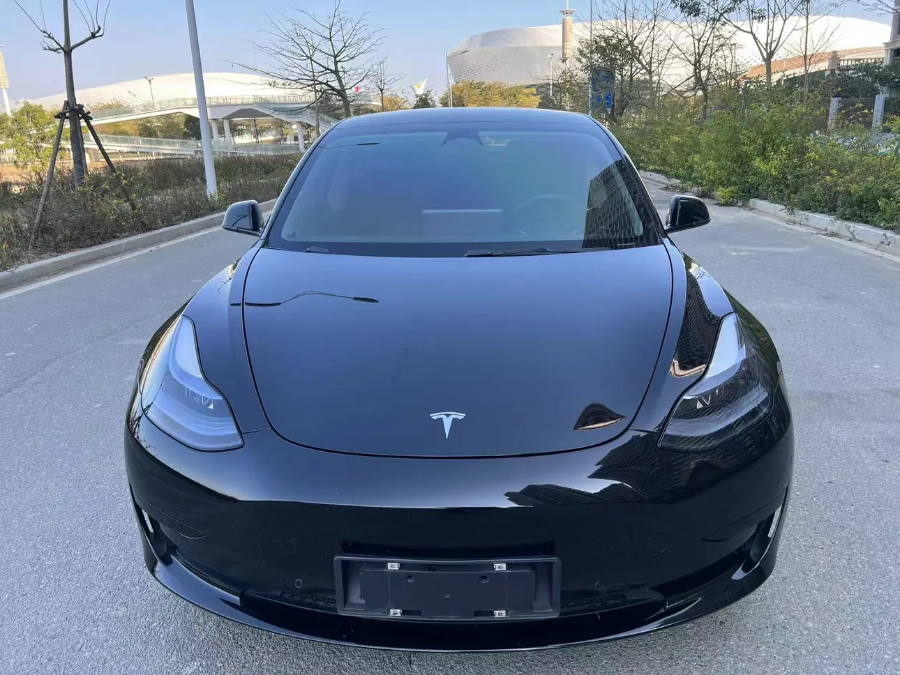 Tesla Model 3  из Китая