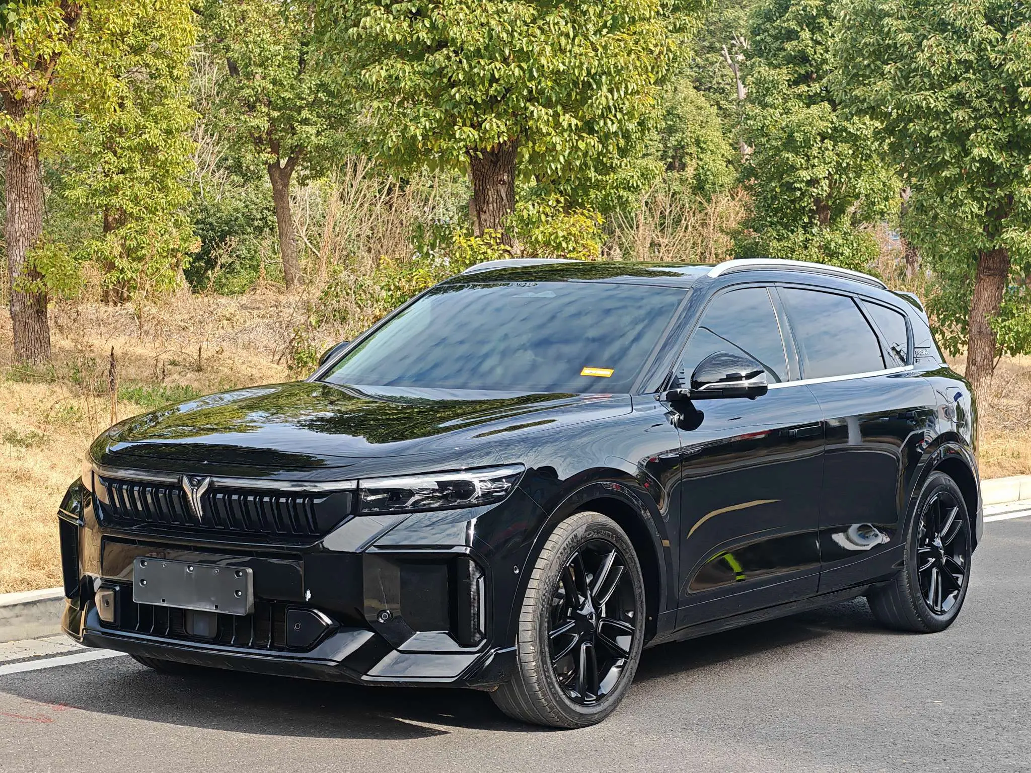 Voyah Lantu FREE  из Китая