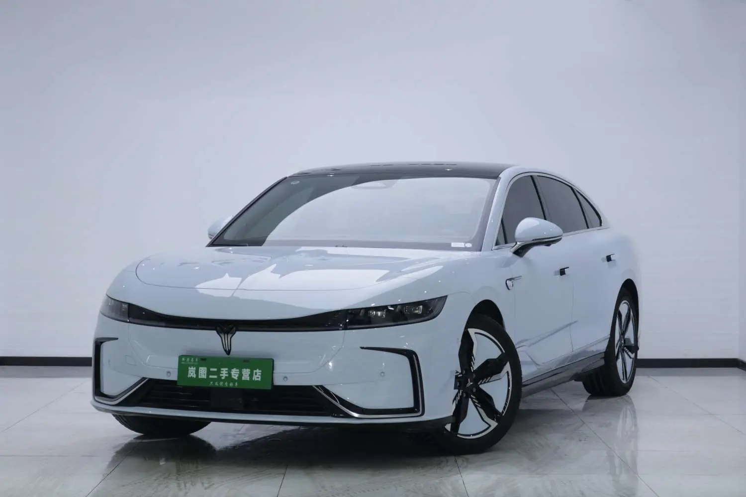 Voyah Passion EV  из Китая