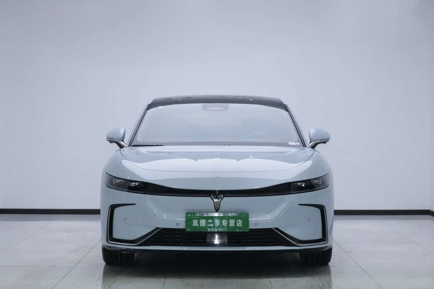 Voyah Passion EV  из Китая