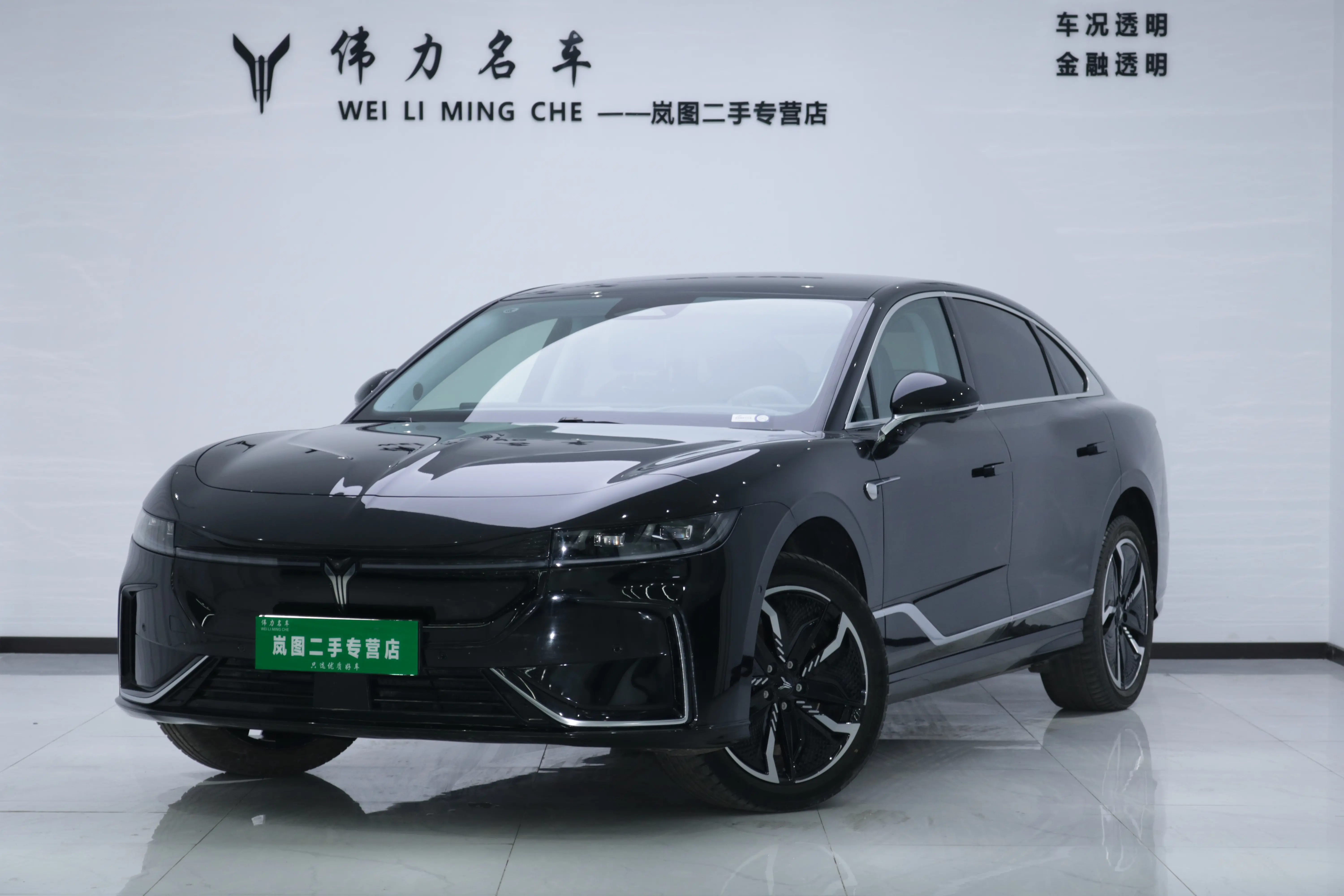 Voyah Passion EV  из Китая