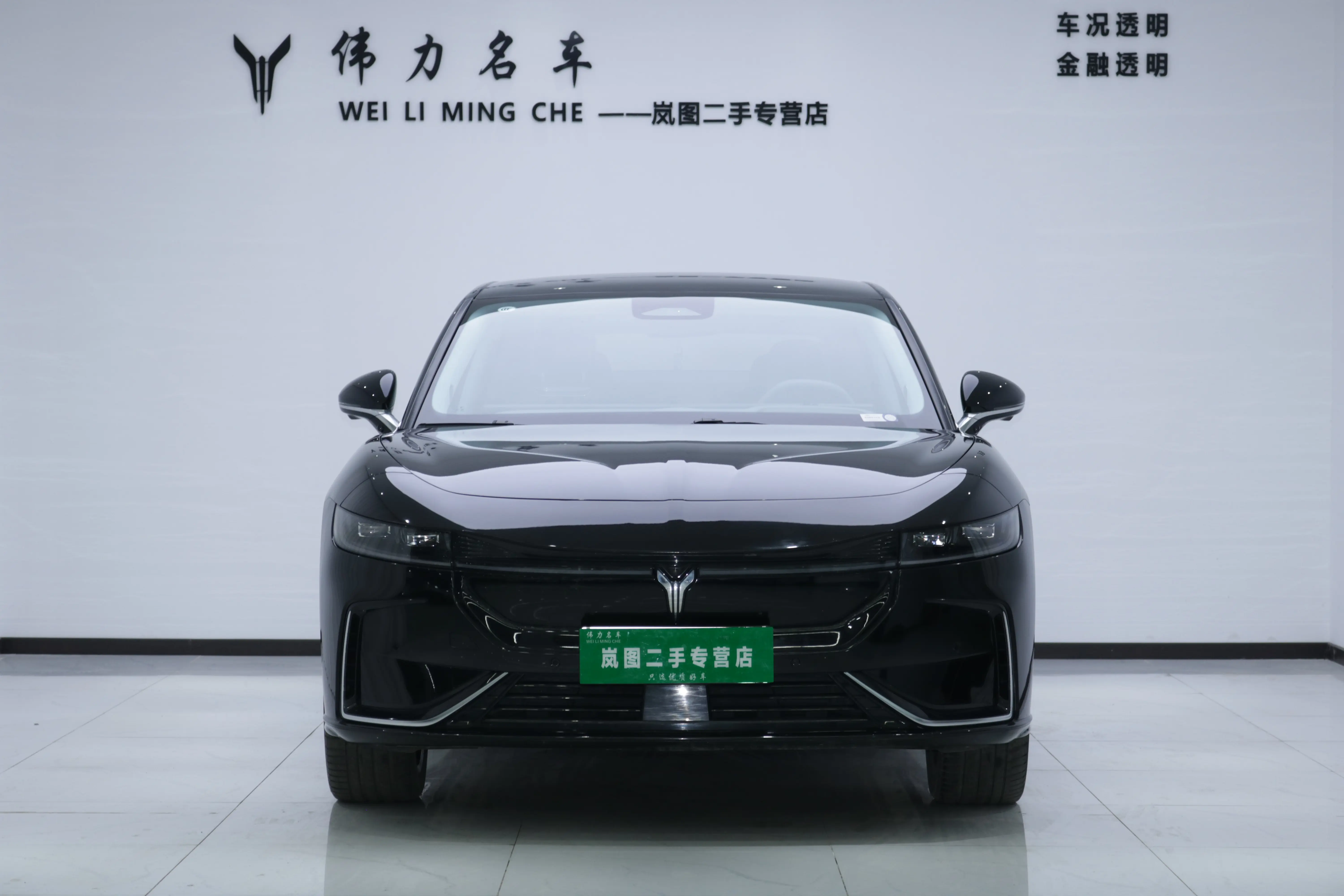 Voyah Passion EV  из Китая