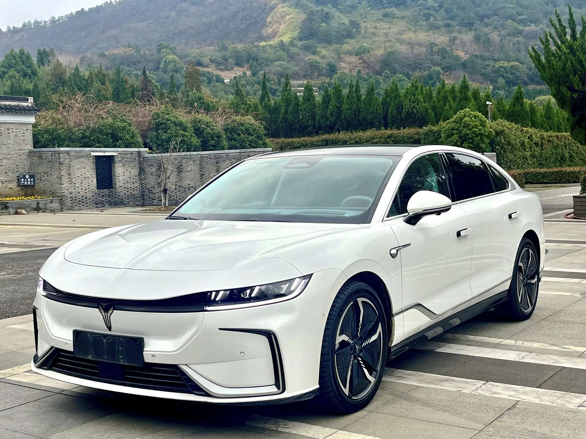 Voyah Passion EV  из Китая