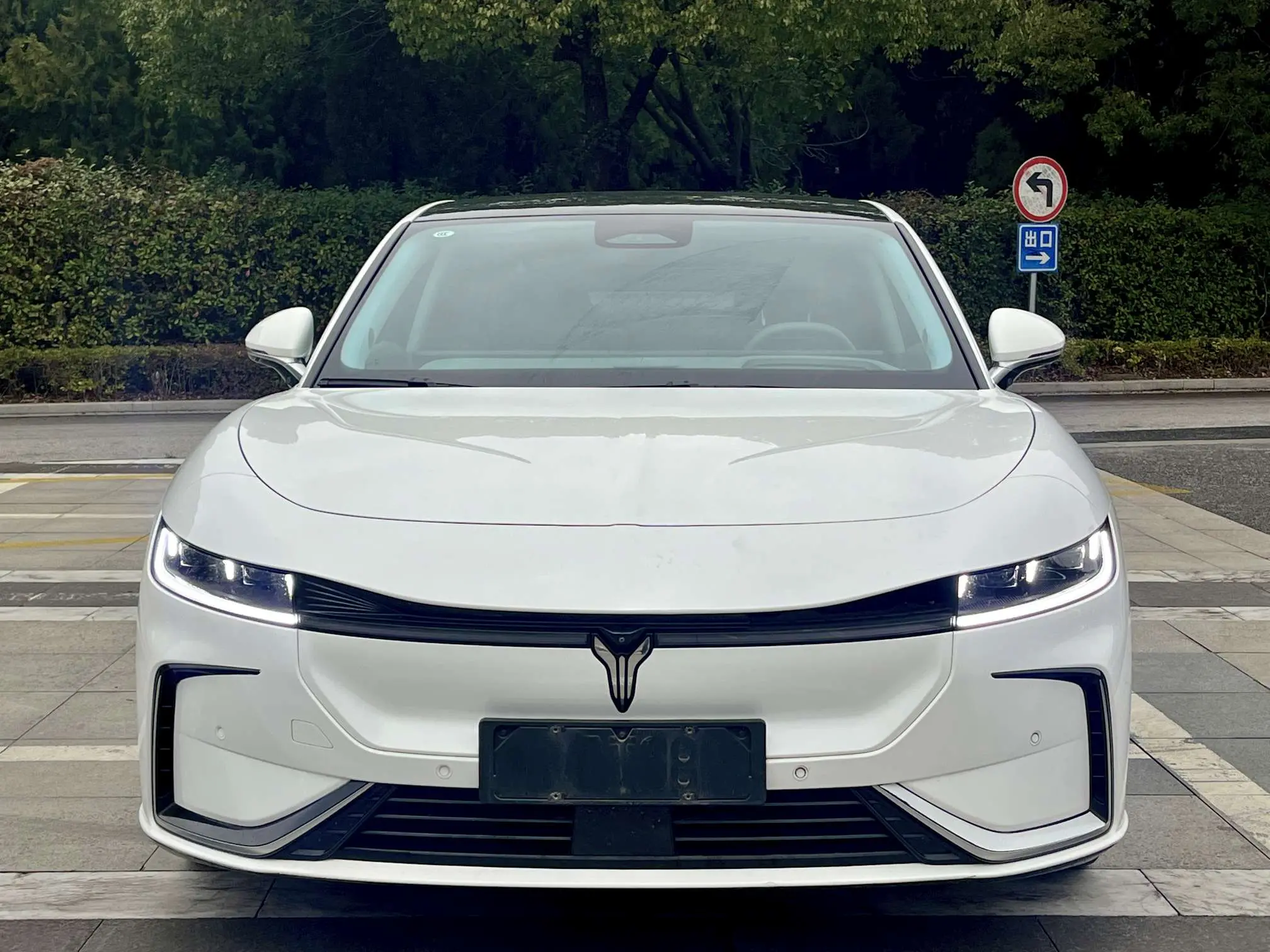 Voyah Passion EV  из Китая