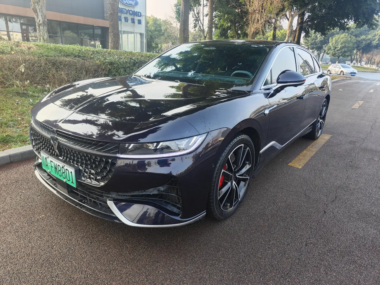 Voyah Passion PHEV  из Китая